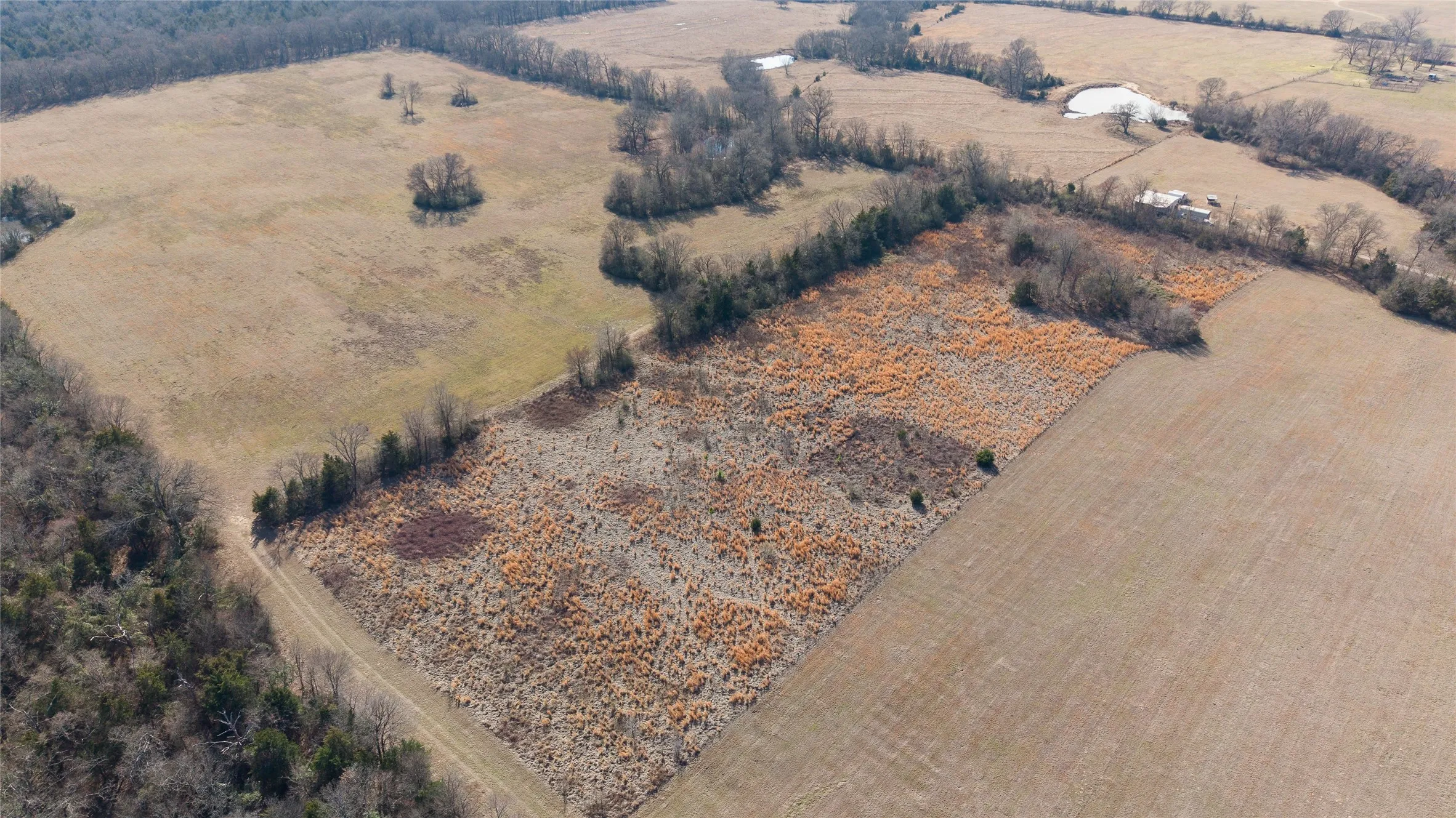 Unimproved Land For Sale in Hopkins County , 7 .95 ac County Road 2426, Como, Texas 75431, 0, 0, Garage spaces, 0 Sqft, built in 0, Price $79,500, mls#21223397, Real Estate Agent in Como, Homes For Sale in Hopkins county, Homes For Sale in Como, Realtor in Como Texas, Real Estate Brokerage Independent Realty Texas, Luminita Cordes Realtor