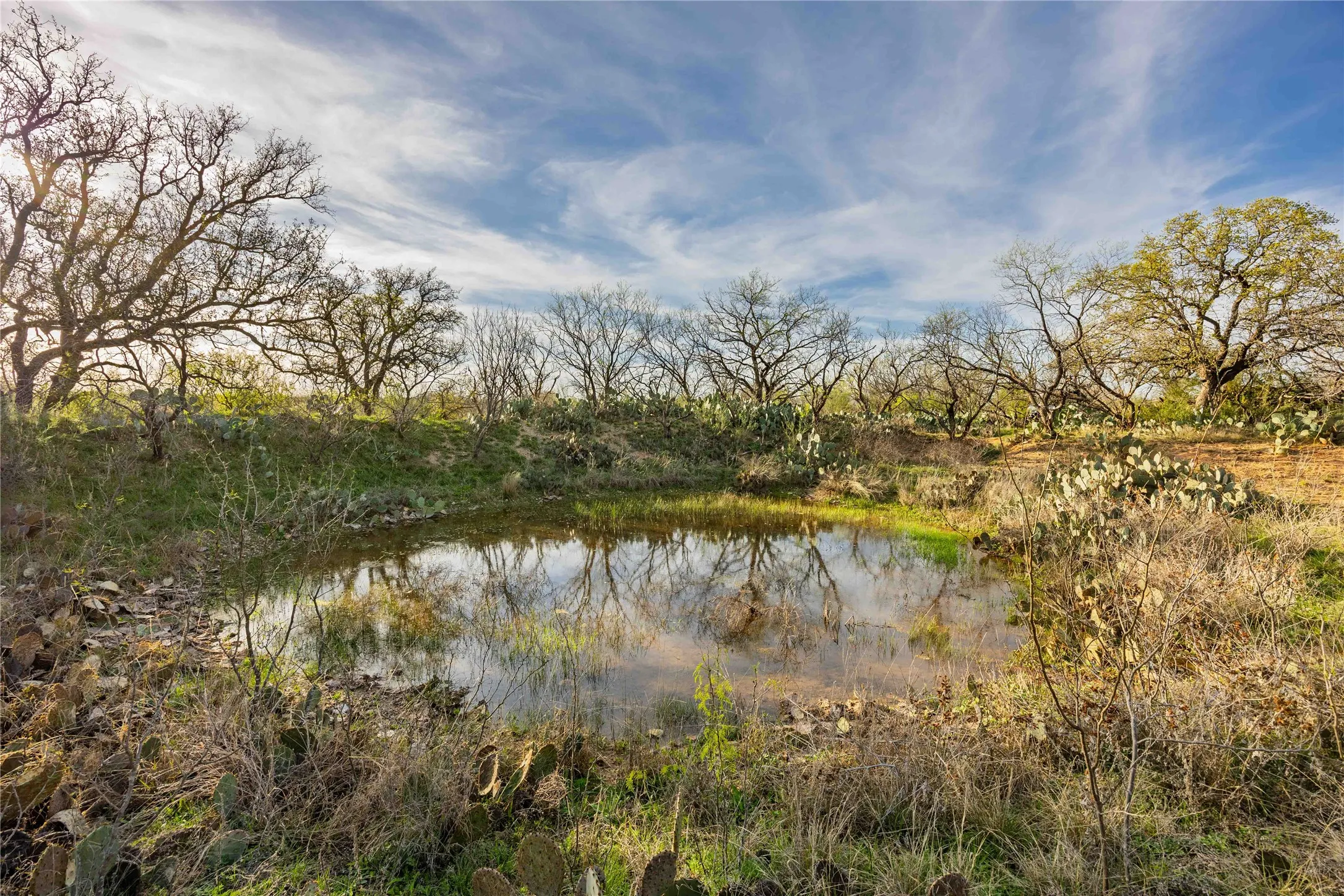 Ranch For Sale in Mc Culloch County , 3873 N US Highway 87, Brady, Texas 76825, 0, 0, Garage spaces, 0 Sqft, built in 1980, mls#21223887, Real Estate Agent in Brady, Homes For Sale in Mc Culloch county, Homes For Sale in Brady, Realtor in Brady Texas, Real Estate Brokerage Independent Realty Texas, Luminita Cordes Realtor