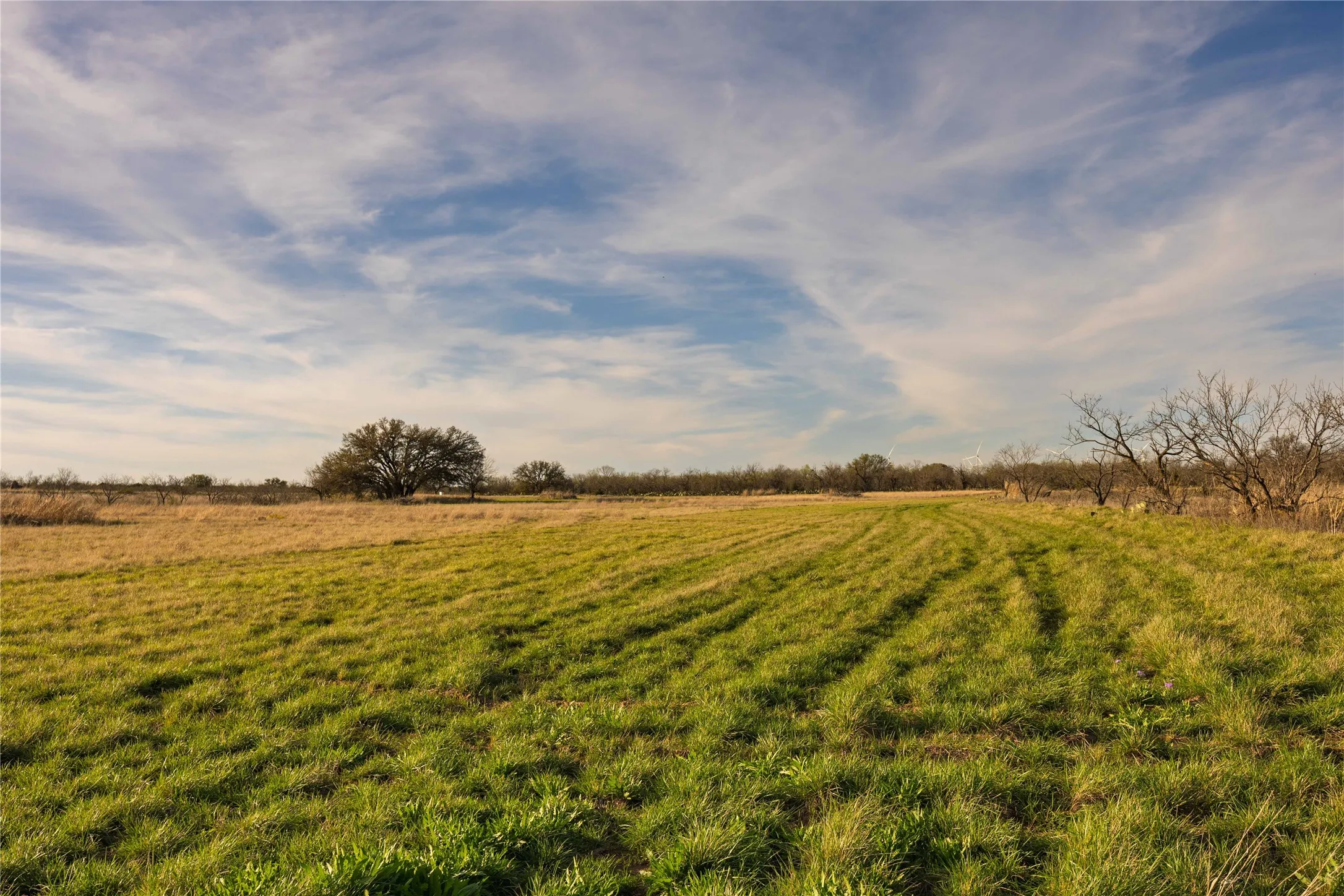 Ranch For Sale in Mc Culloch County , 3873 N US Highway 87, Brady, Texas 76825, 0, 0, Garage spaces, 0 Sqft, built in 1980, mls#21223887, Real Estate Agent in Brady, Homes For Sale in Mc Culloch county, Homes For Sale in Brady, Realtor in Brady Texas, Real Estate Brokerage Independent Realty Texas, Luminita Cordes Realtor