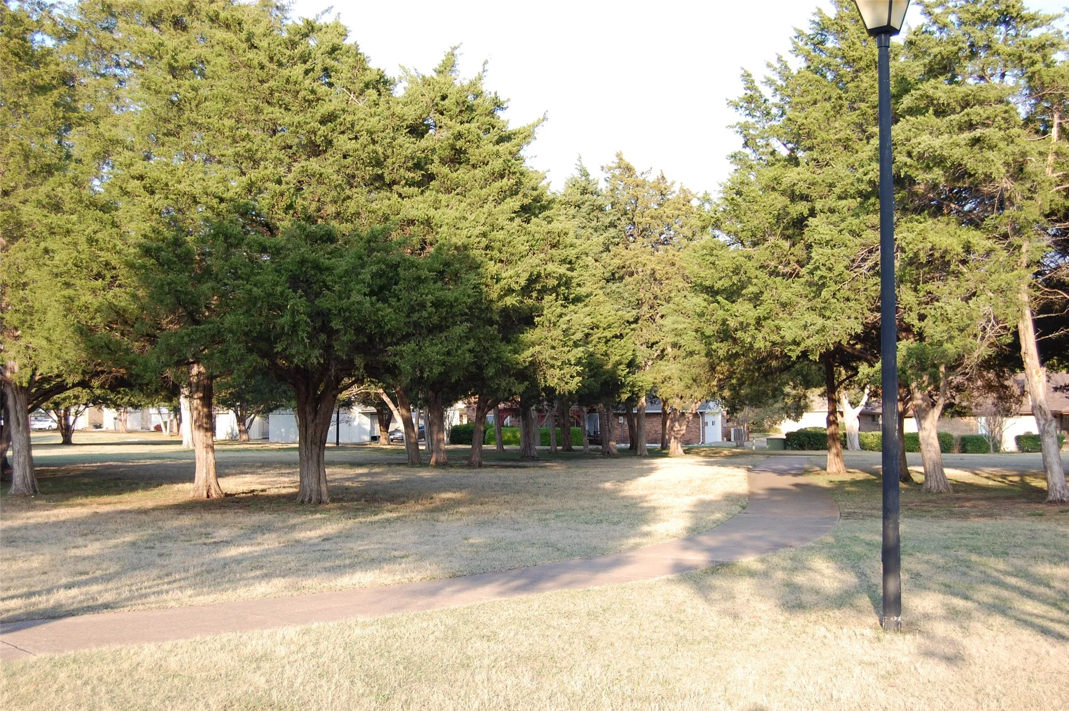 Cedar Lined Walkways
Throughout the Community