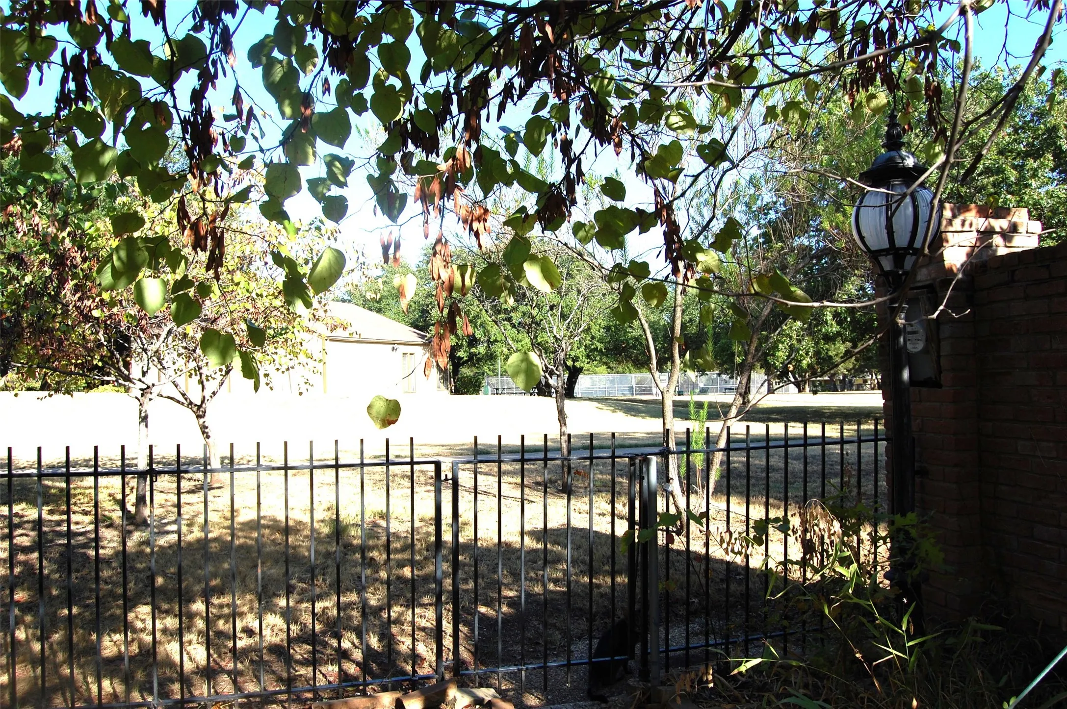 Wrought Iron Fencing