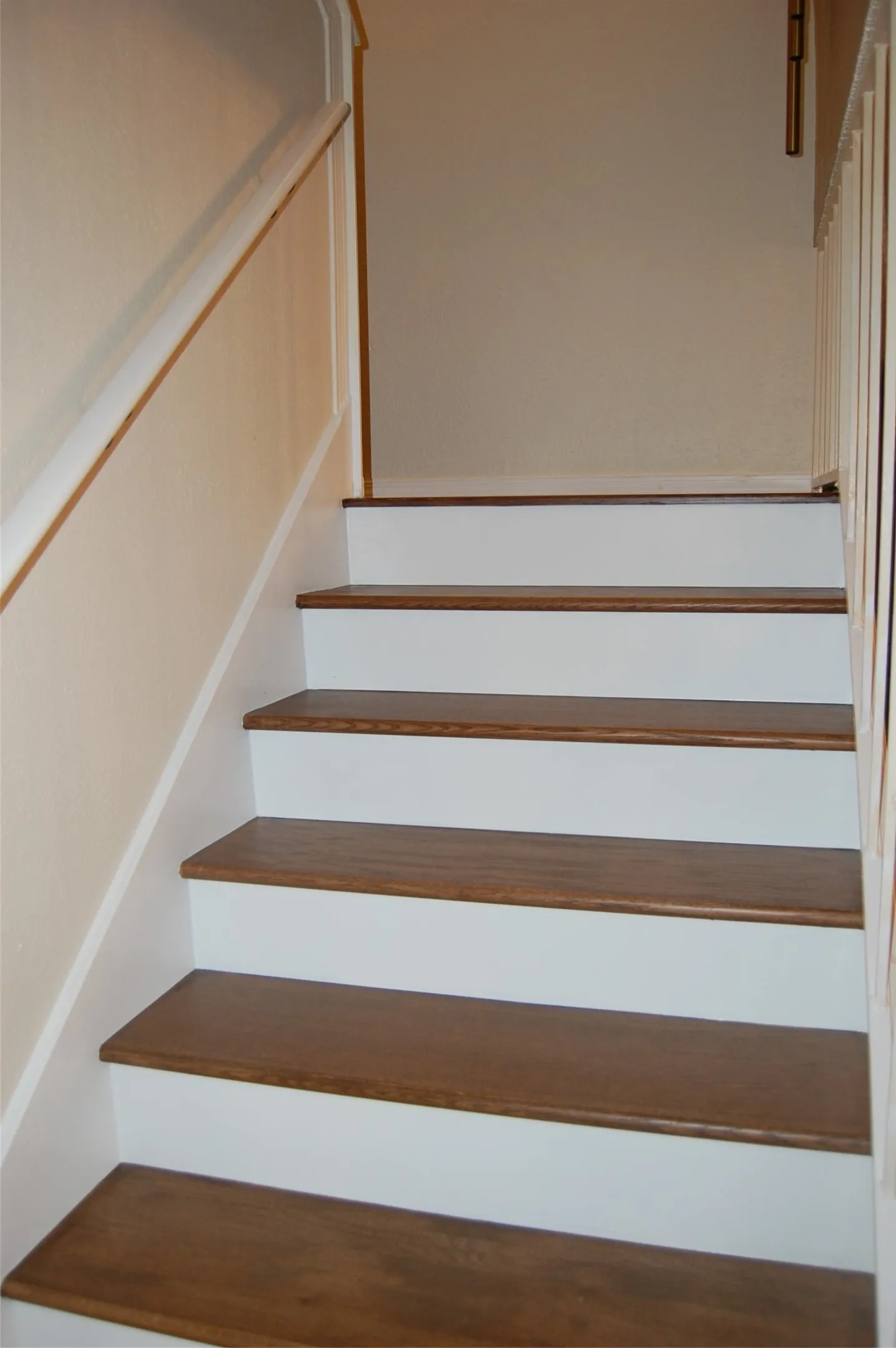 Wood Stairs with Hand Rails