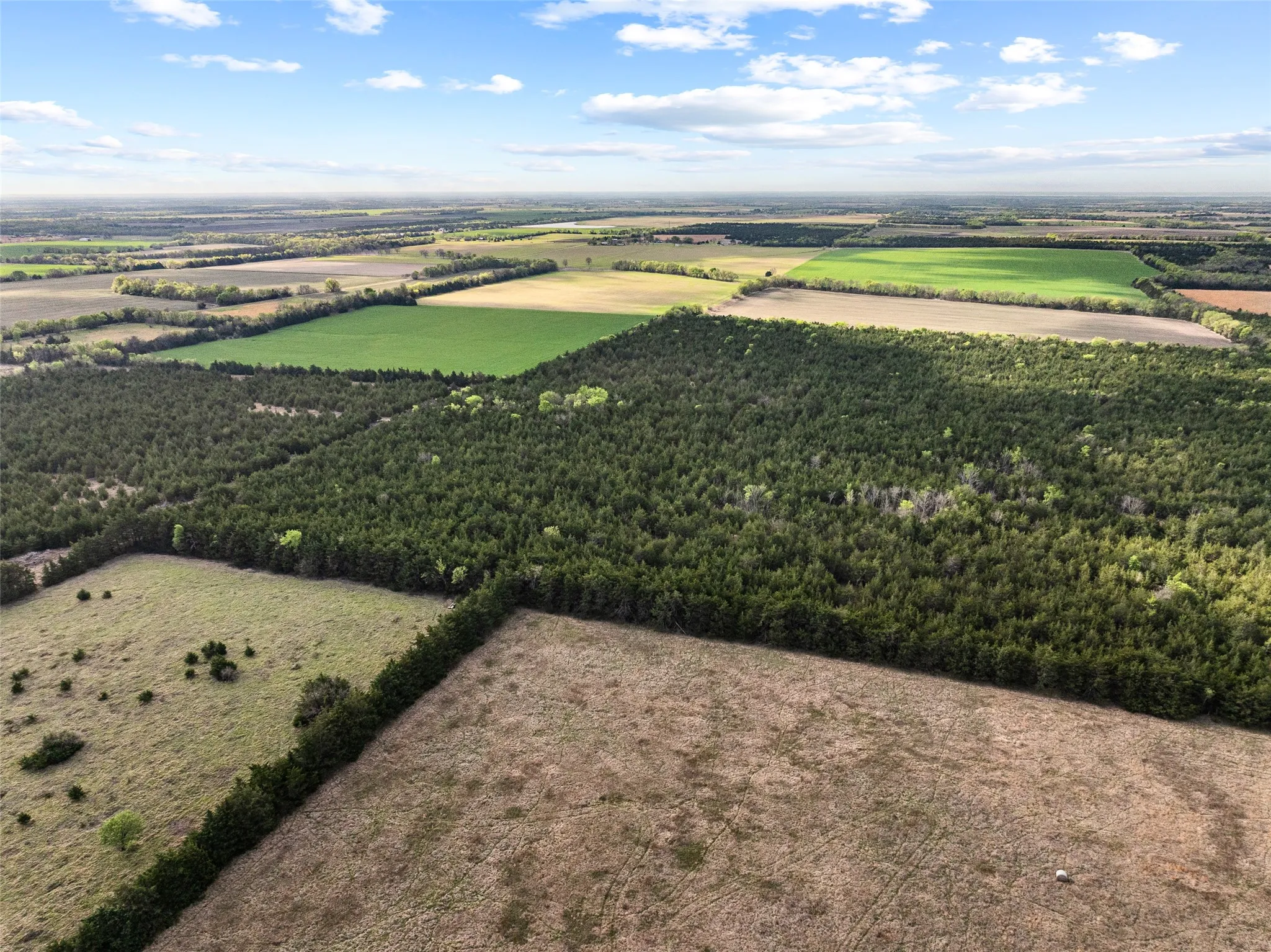 Unimproved Land For Sale in Delta County , TBD FM 198, Cooper, Texas 75432, 0, 0, Garage spaces, 0 Sqft, built in 0, mls#21223032, Real Estate Agent in Cooper, Homes For Sale in Delta county, Homes For Sale in Cooper, Realtor in Cooper Texas, Real Estate Brokerage Independent Realty Texas, Luminita Cordes Realtor