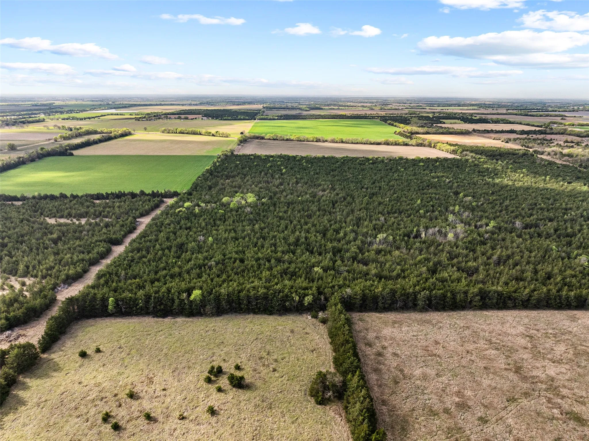 Unimproved Land For Sale in Delta County , TBD FM 198, Cooper, Texas 75432, 0, 0, Garage spaces, 0 Sqft, built in 0, mls#21223032, Real Estate Agent in Cooper, Homes For Sale in Delta county, Homes For Sale in Cooper, Realtor in Cooper Texas, Real Estate Brokerage Independent Realty Texas, Luminita Cordes Realtor