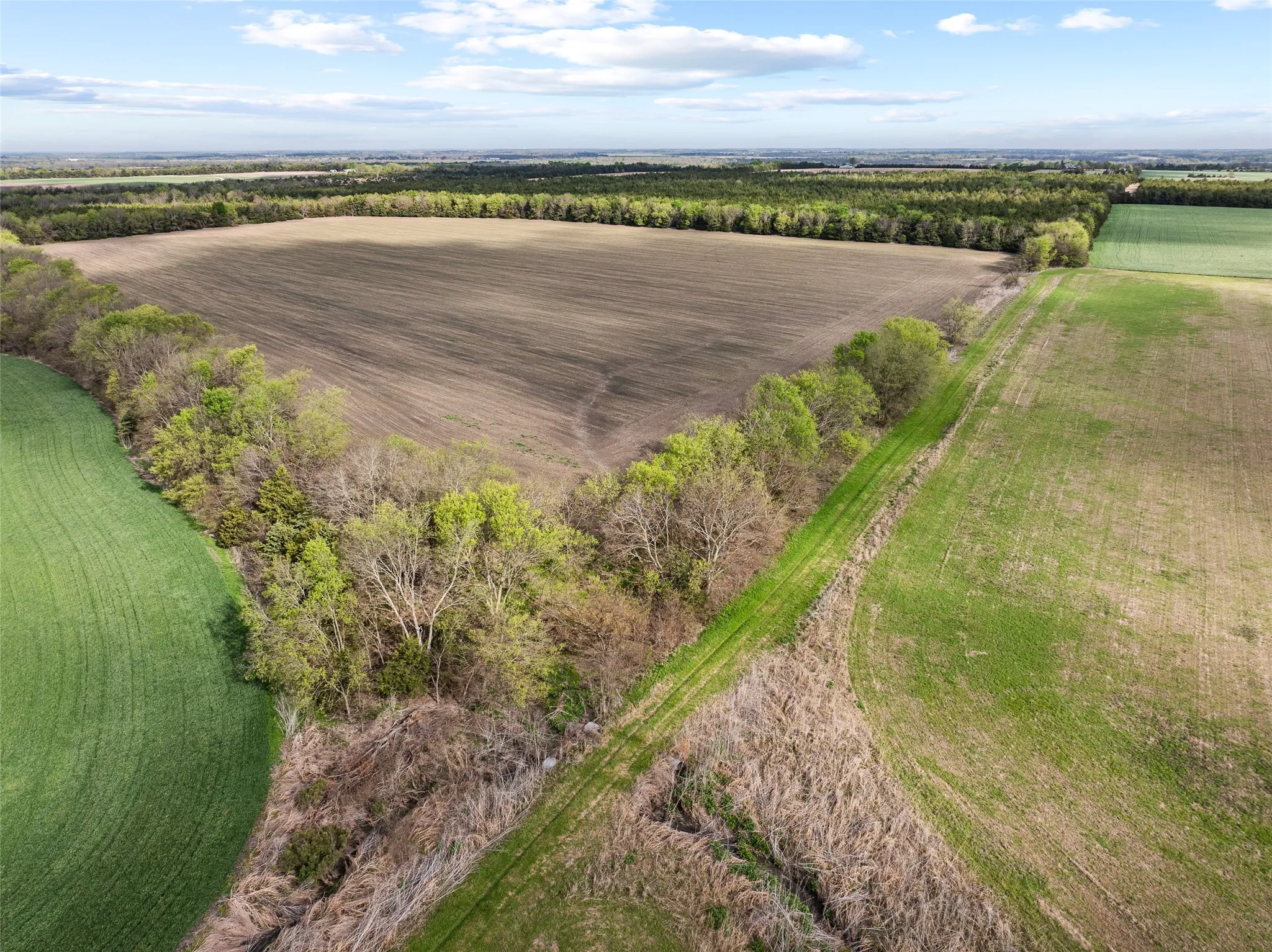 Does not contain cropland only treed parcel