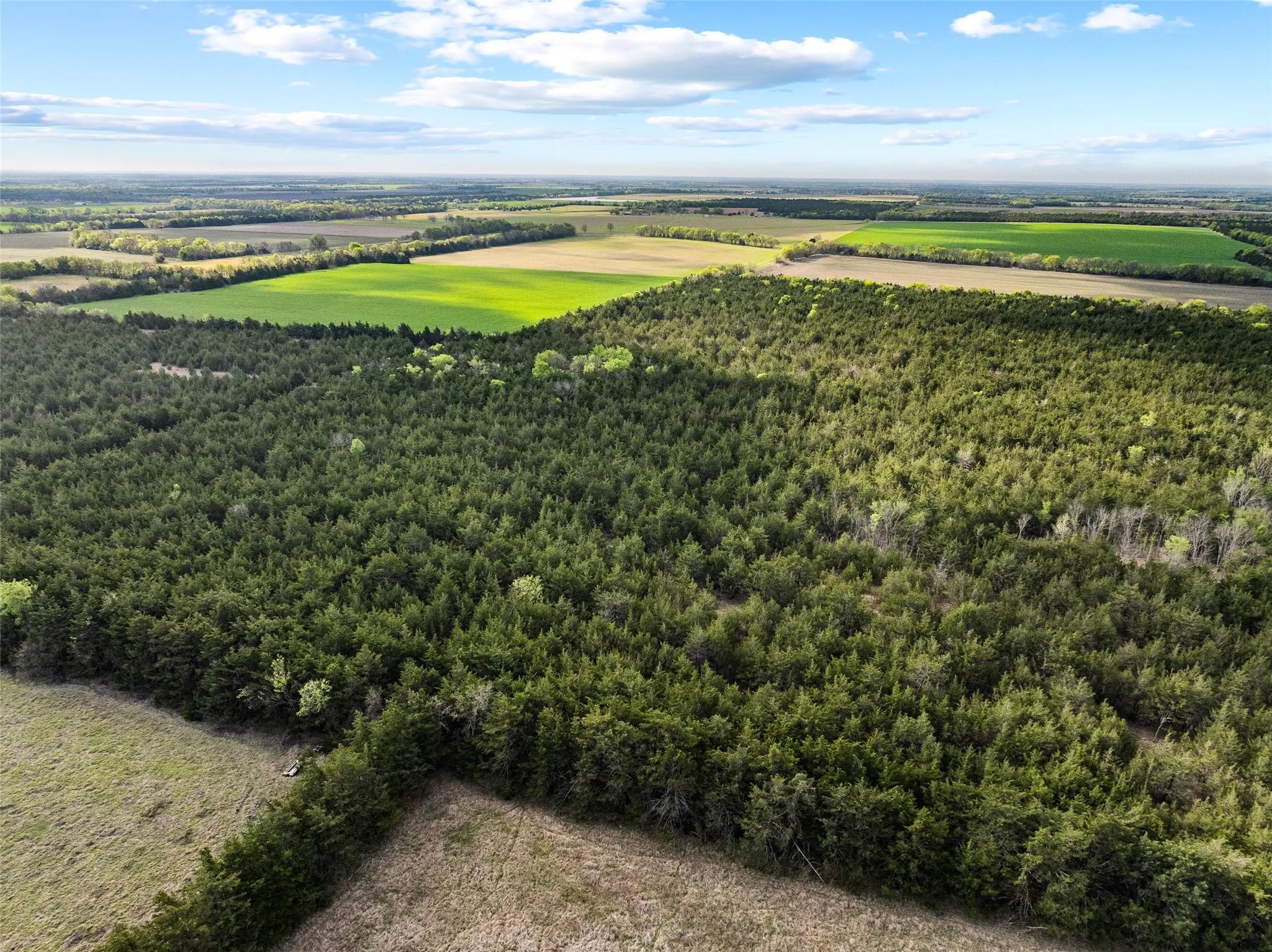 Unimproved Land For Sale in Delta County , TBD FM 198, Cooper, Texas 75432, 0, 0, Garage spaces, 0 Sqft, built in 0, mls#21223032, Real Estate Agent in Cooper, Homes For Sale in Delta county, Homes For Sale in Cooper, Realtor in Cooper Texas, Real Estate Brokerage Independent Realty Texas, Luminita Cordes Realtor