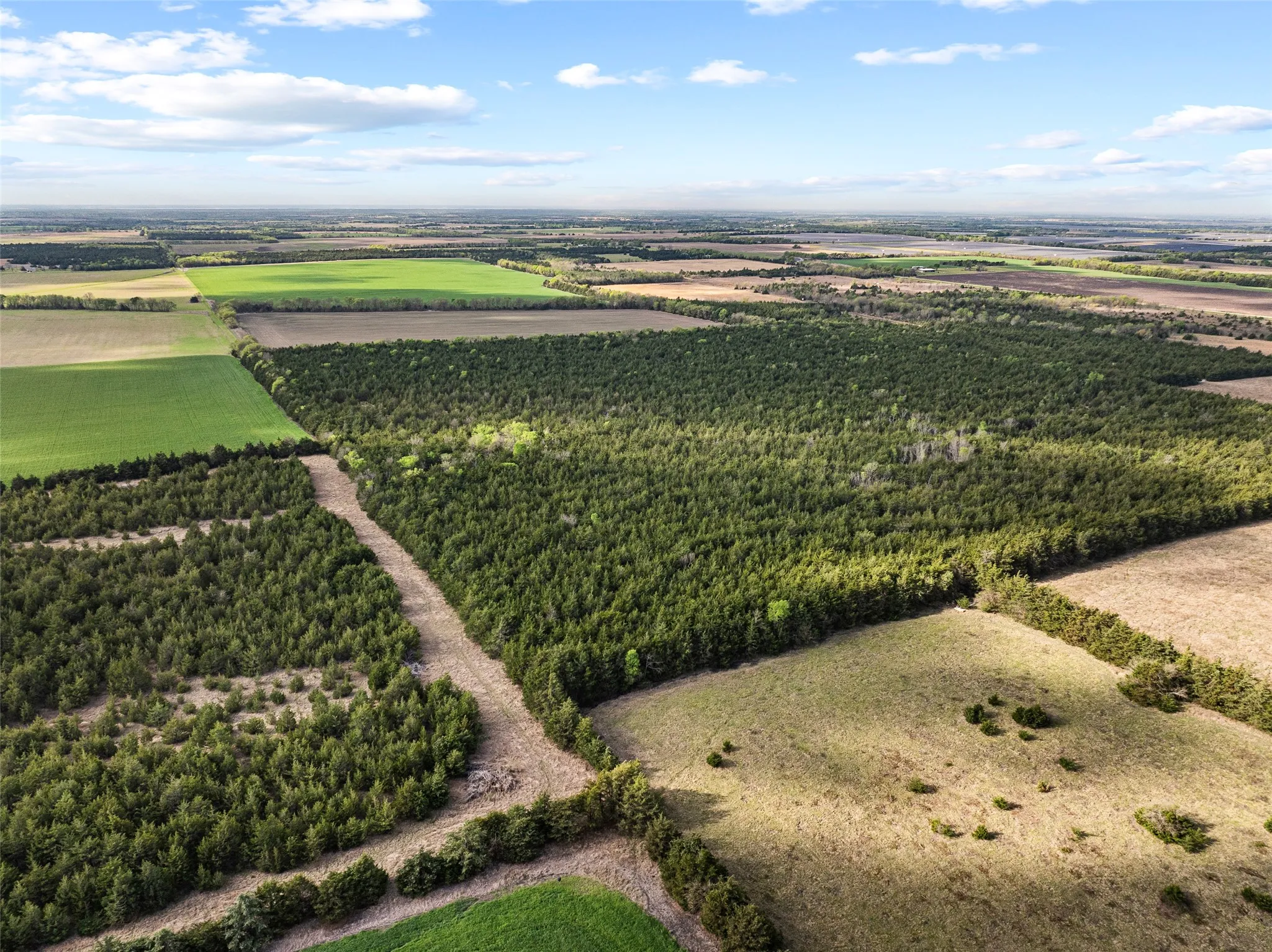 Unimproved Land For Sale in Delta County , TBD FM 198, Cooper, Texas 75432, 0, 0, Garage spaces, 0 Sqft, built in 0, mls#21223032, Real Estate Agent in Cooper, Homes For Sale in Delta county, Homes For Sale in Cooper, Realtor in Cooper Texas, Real Estate Brokerage Independent Realty Texas, Luminita Cordes Realtor