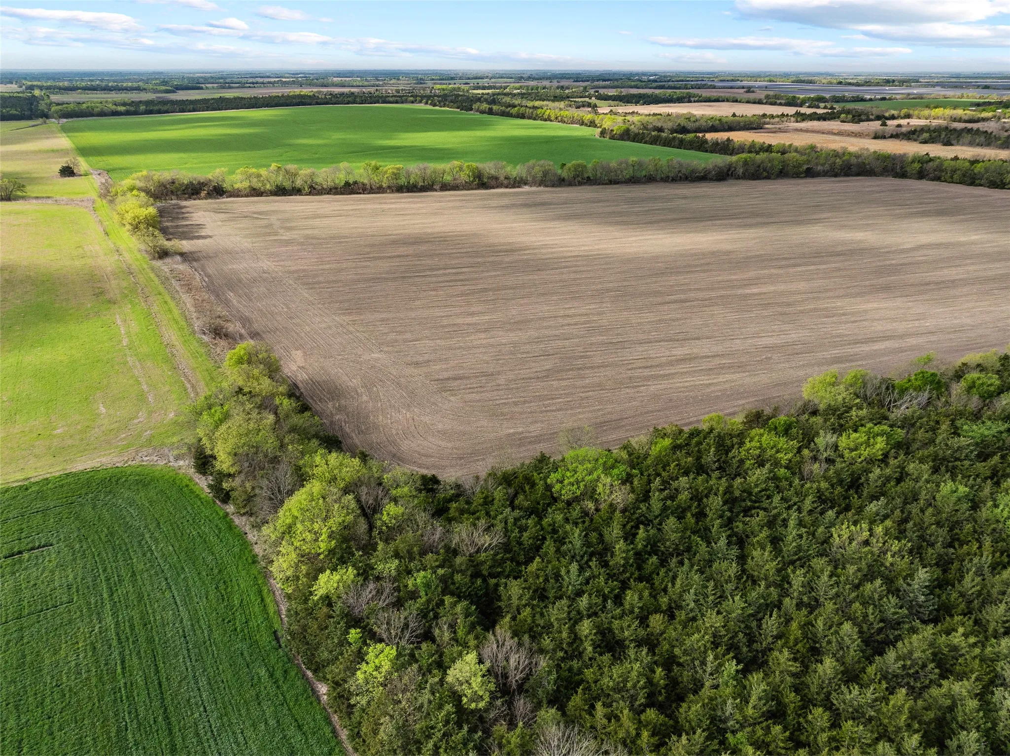Does not contain cropland only treed parcel