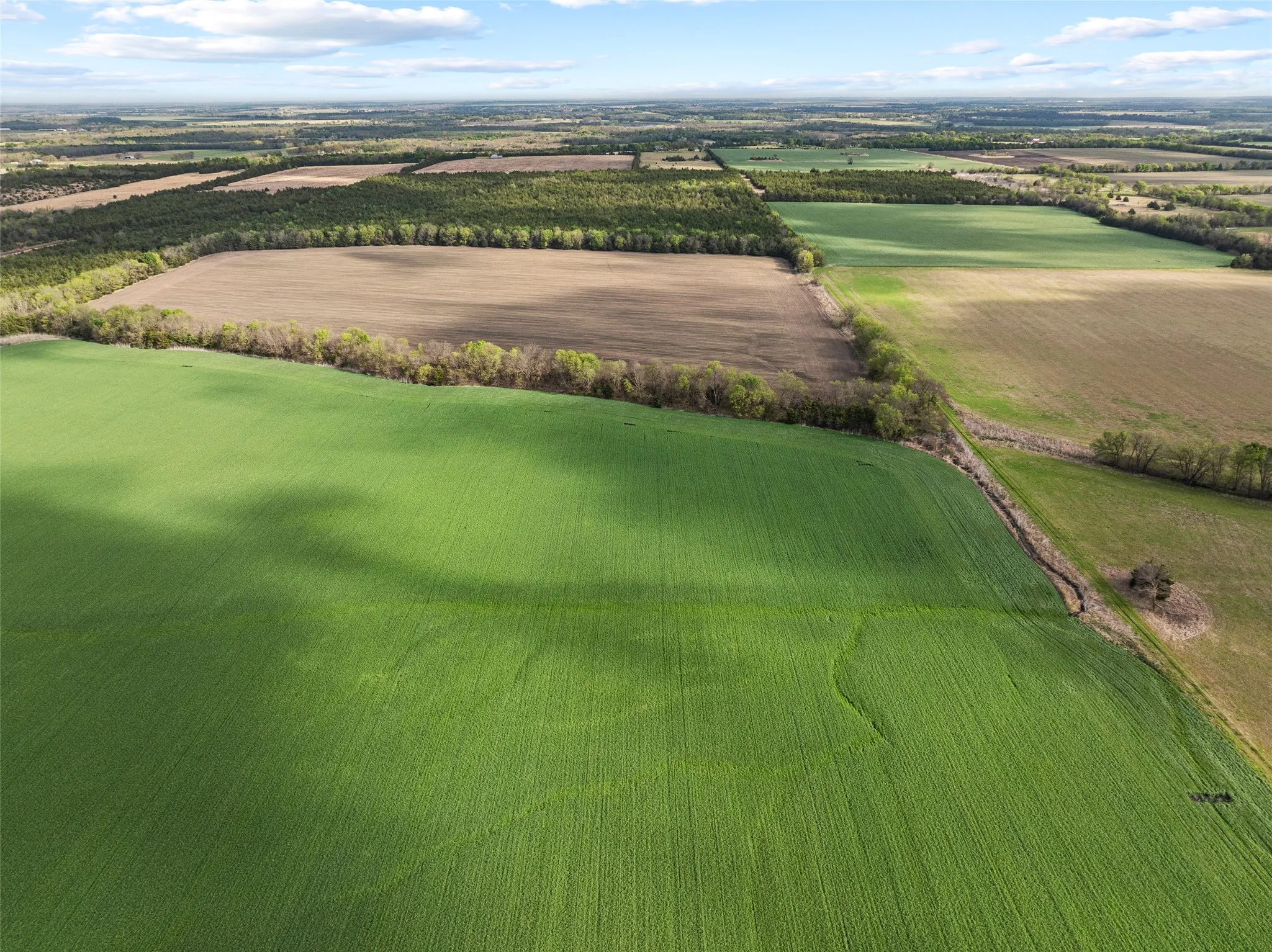 Does not contain cropland only treed parcel
