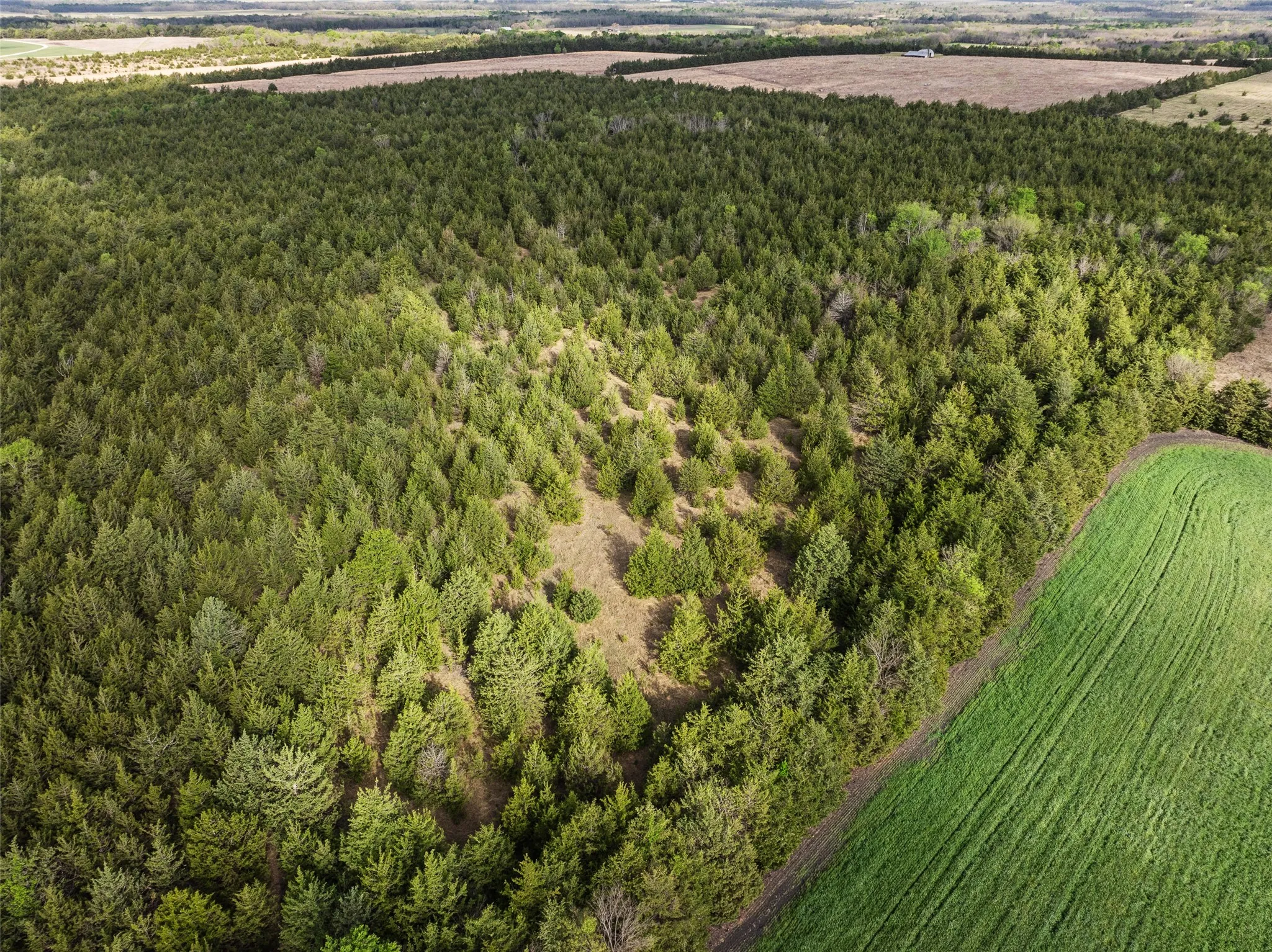 Unimproved Land For Sale in Delta County , TBD FM 198, Cooper, Texas 75432, 0, 0, Garage spaces, 0 Sqft, built in 0, mls#21223032, Real Estate Agent in Cooper, Homes For Sale in Delta county, Homes For Sale in Cooper, Realtor in Cooper Texas, Real Estate Brokerage Independent Realty Texas, Luminita Cordes Realtor
