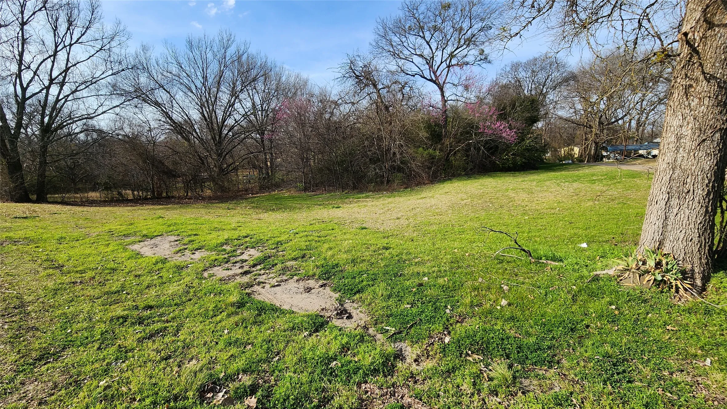 Unimproved Land For Sale in Rains County , Lot 167 County Road 1633, Lone Oak, Texas 75453, 0, 0, Garage spaces, 0 Sqft, built in 0, mls#21220235, Real Estate Agent in Lone Oak, Homes For Sale in Rains county, Homes For Sale in Lone Oak, Realtor in Lone Oak Texas, Real Estate Brokerage Independent Realty Texas, Luminita Cordes Realtor