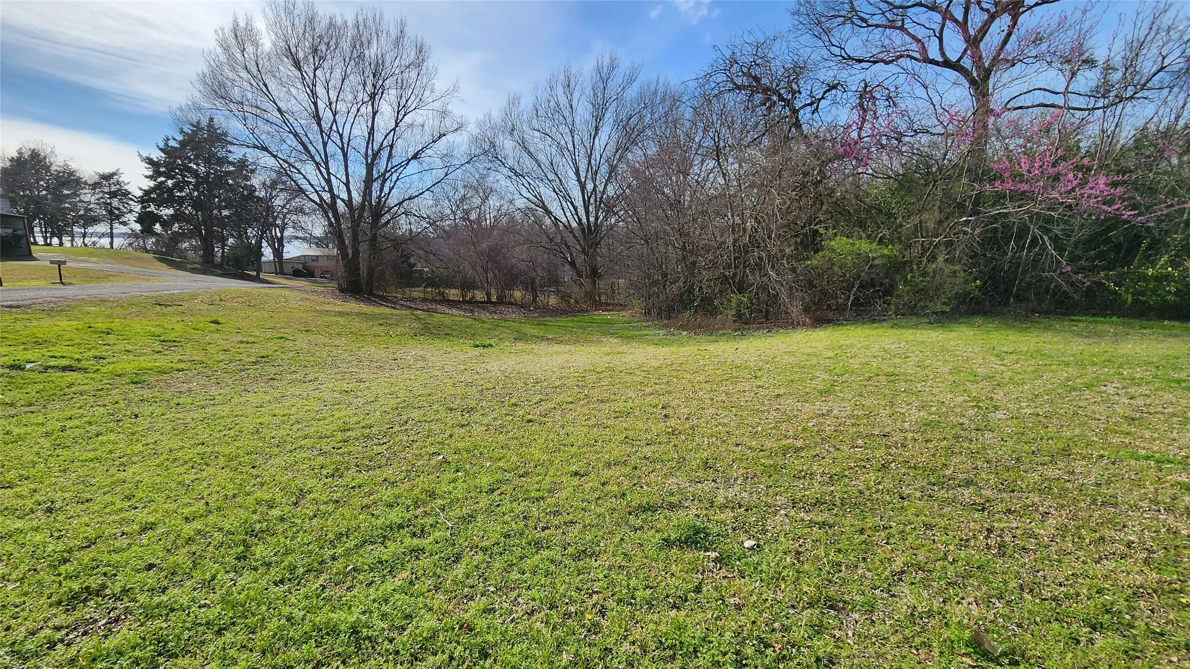 Unimproved Land For Sale in Rains County , Lot 167 County Road 1633, Lone Oak, Texas 75453, 0, 0, Garage spaces, 0 Sqft, built in 0, mls#21220235, Real Estate Agent in Lone Oak, Homes For Sale in Rains county, Homes For Sale in Lone Oak, Realtor in Lone Oak Texas, Real Estate Brokerage Independent Realty Texas, Luminita Cordes Realtor
