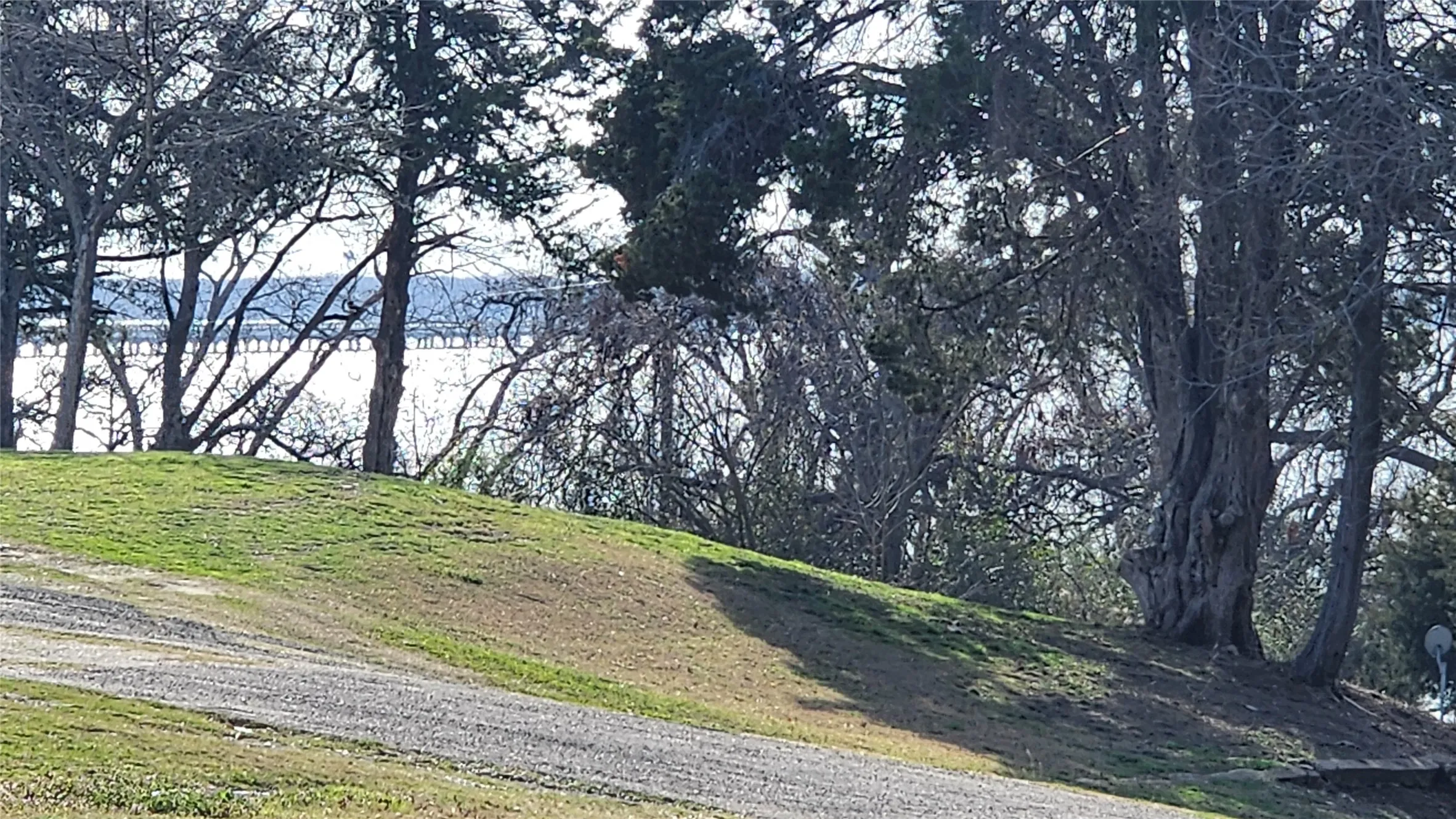 Unimproved Land For Sale in Rains County , Lot 167 County Road 1633, Lone Oak, Texas 75453, 0, 0, Garage spaces, 0 Sqft, built in 0, mls#21220235, Real Estate Agent in Lone Oak, Homes For Sale in Rains county, Homes For Sale in Lone Oak, Realtor in Lone Oak Texas, Real Estate Brokerage Independent Realty Texas, Luminita Cordes Realtor