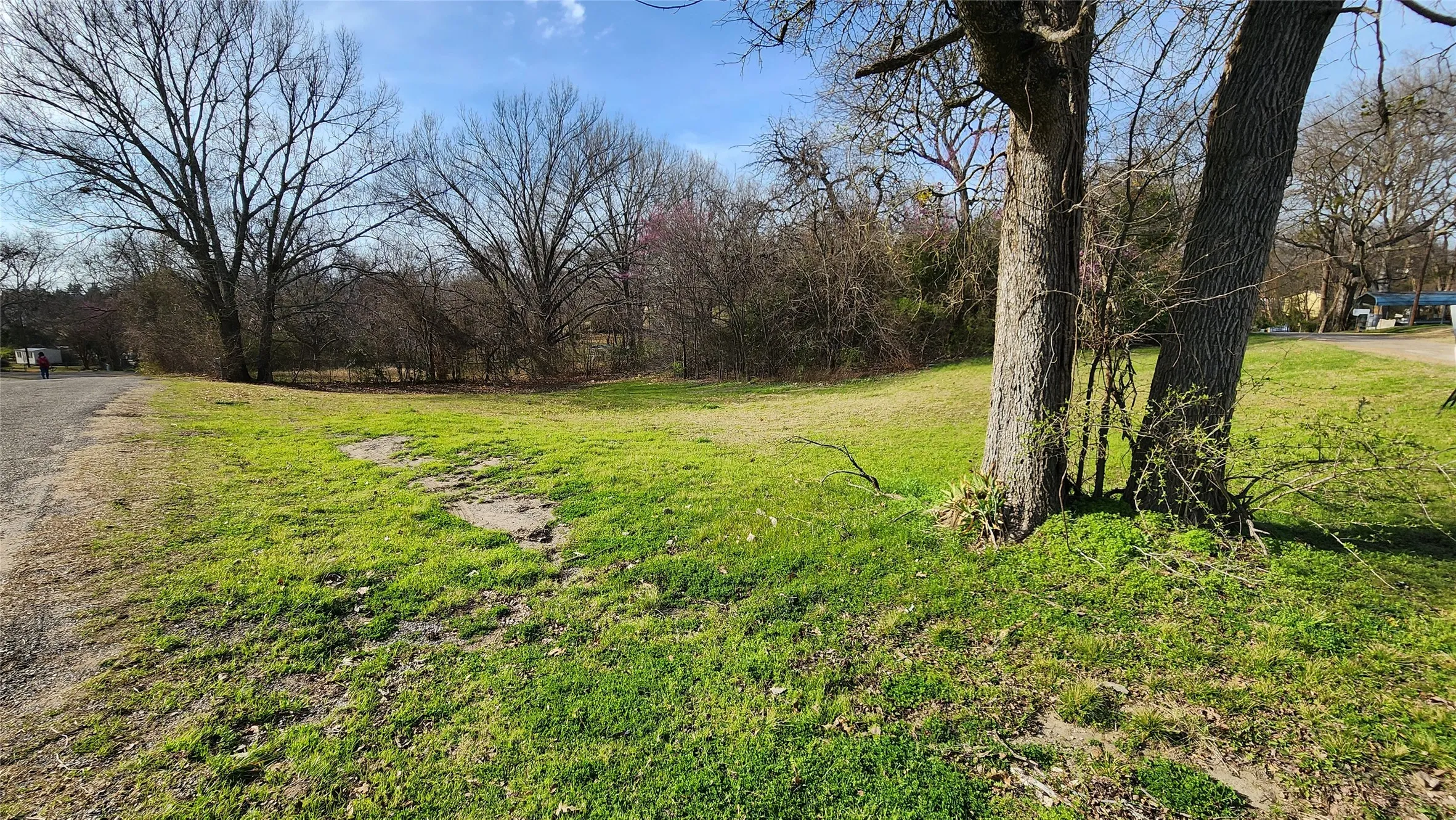 Unimproved Land For Sale in Rains County , Lot 167 County Road 1633, Lone Oak, Texas 75453, 0, 0, Garage spaces, 0 Sqft, built in 0, mls#21220235, Real Estate Agent in Lone Oak, Homes For Sale in Rains county, Homes For Sale in Lone Oak, Realtor in Lone Oak Texas, Real Estate Brokerage Independent Realty Texas, Luminita Cordes Realtor