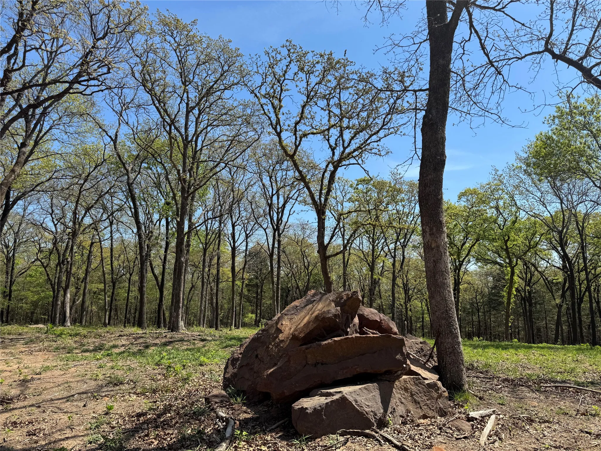 Boulders ready for your hardscape