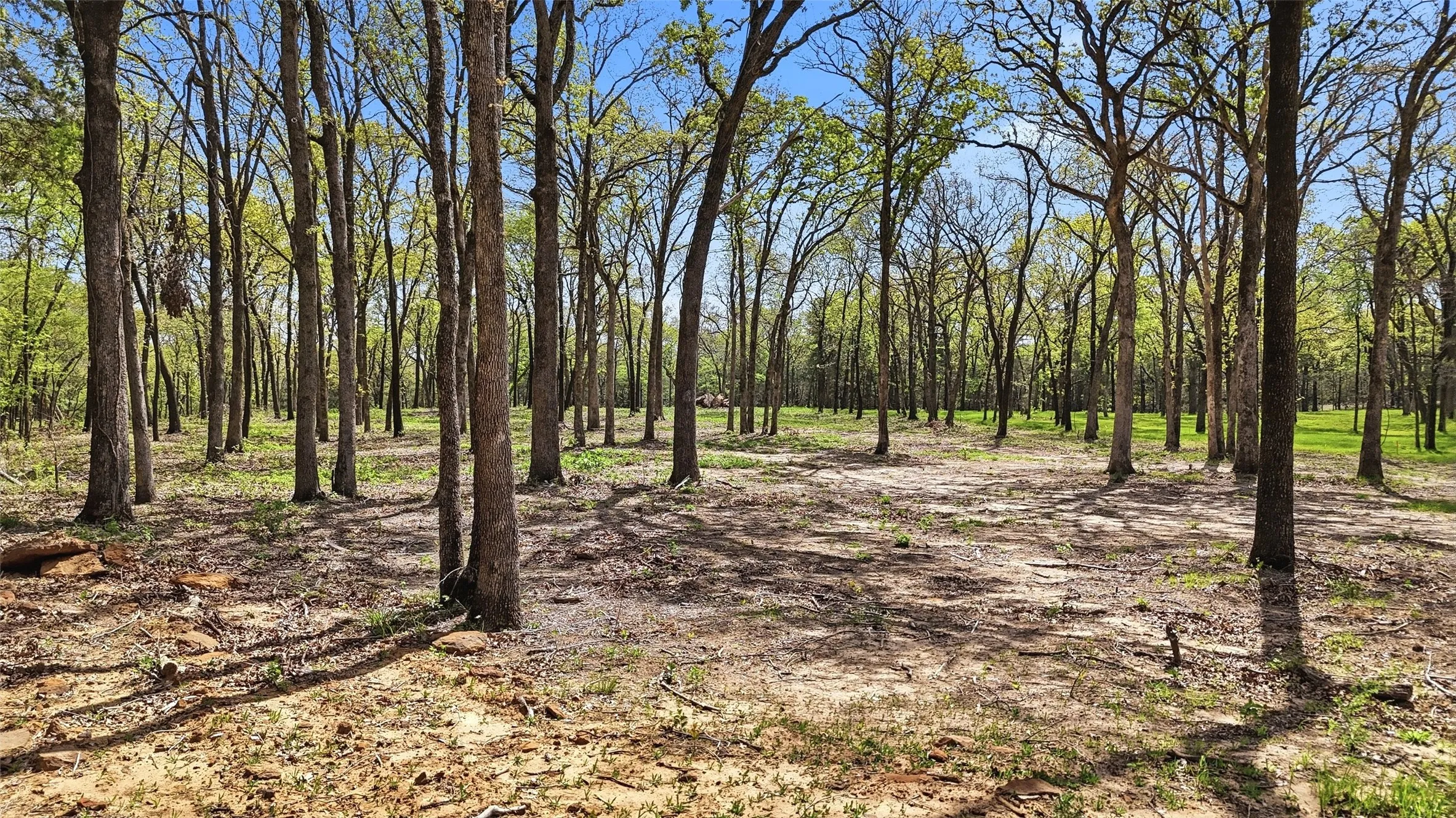Improved Land For Sale in Grayson County , Lot 13 Buck Trail Road, Pottsboro, Texas 75076, 0, 0, Garage spaces, 0 Sqft, built in 0, mls#21224264, Real Estate Agent in Pottsboro, Homes For Sale in Grayson county, Homes For Sale in Pottsboro, Realtor in Pottsboro Texas, Real Estate Brokerage Independent Realty Texas, Luminita Cordes Realtor