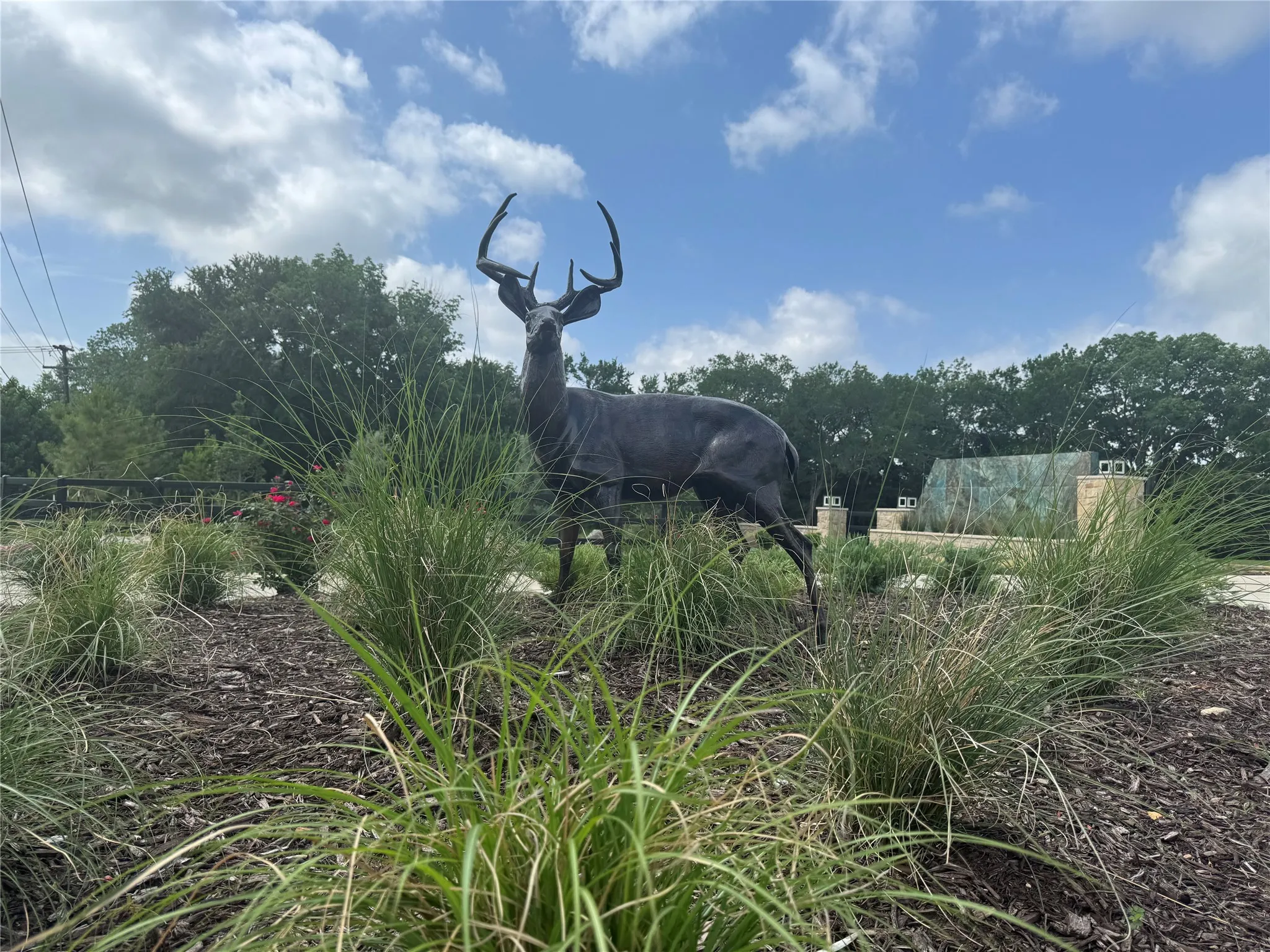 Improved Land For Sale in Grayson County , Lot 13 Buck Trail Road, Pottsboro, Texas 75076, 0, 0, Garage spaces, 0 Sqft, built in 0, mls#21224264, Real Estate Agent in Pottsboro, Homes For Sale in Grayson county, Homes For Sale in Pottsboro, Realtor in Pottsboro Texas, Real Estate Brokerage Independent Realty Texas, Luminita Cordes Realtor