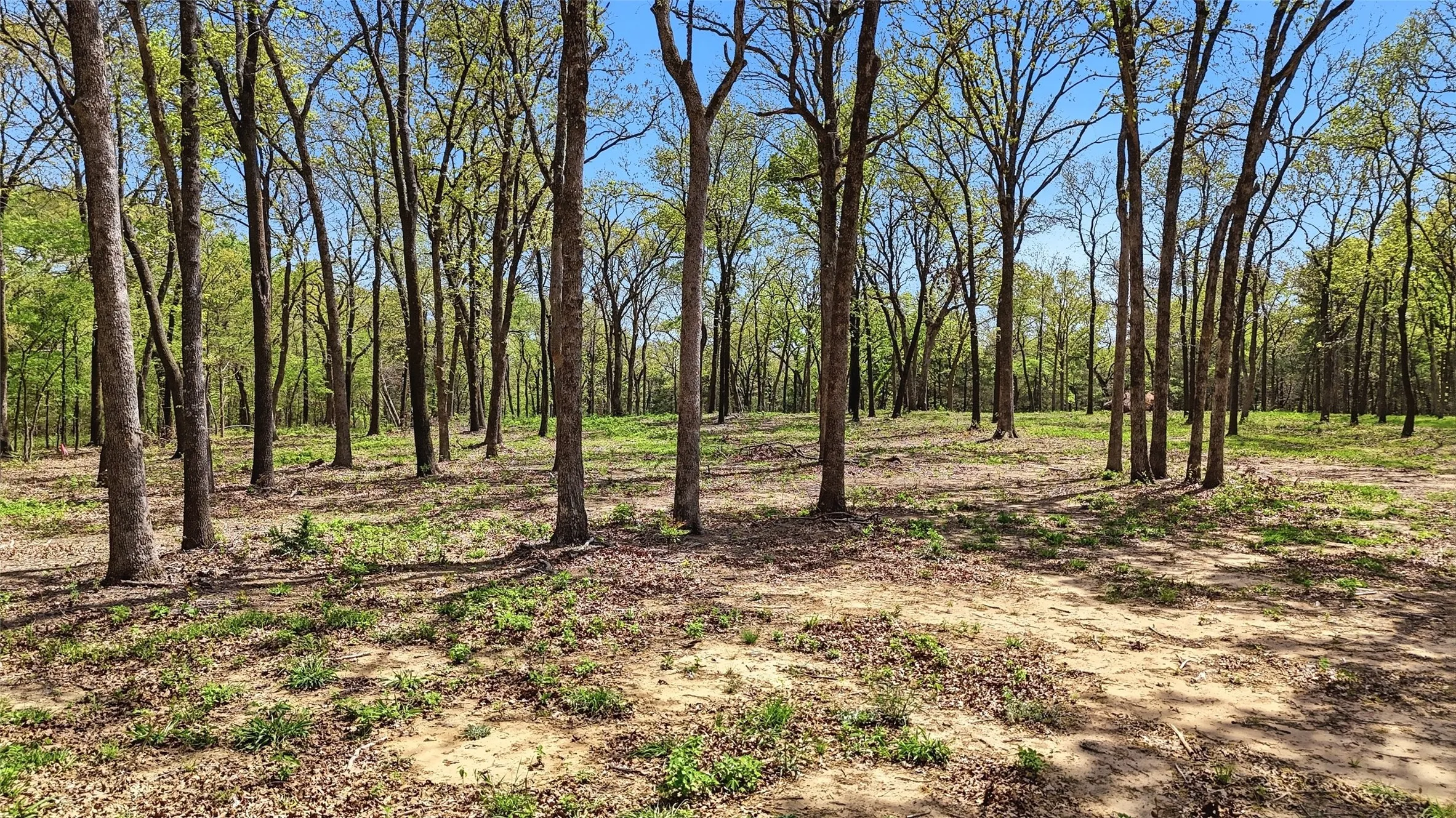 Improved Land For Sale in Grayson County , Lot 13 Buck Trail Road, Pottsboro, Texas 75076, 0, 0, Garage spaces, 0 Sqft, built in 0, mls#21224264, Real Estate Agent in Pottsboro, Homes For Sale in Grayson county, Homes For Sale in Pottsboro, Realtor in Pottsboro Texas, Real Estate Brokerage Independent Realty Texas, Luminita Cordes Realtor
