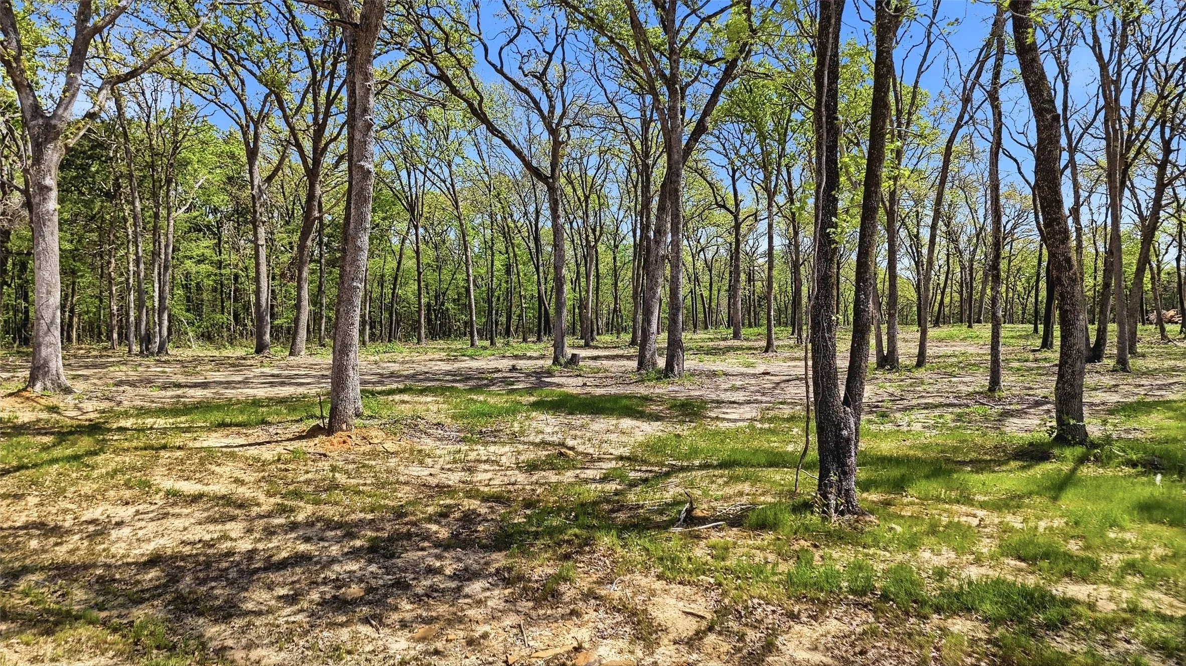 Improved Land For Sale in Grayson County , Lot 13 Buck Trail Road, Pottsboro, Texas 75076, 0, 0, Garage spaces, 0 Sqft, built in 0, mls#21224264, Real Estate Agent in Pottsboro, Homes For Sale in Grayson county, Homes For Sale in Pottsboro, Realtor in Pottsboro Texas, Real Estate Brokerage Independent Realty Texas, Luminita Cordes Realtor