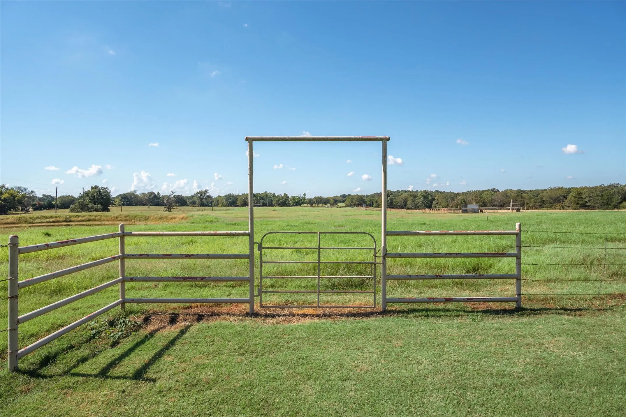 Single Family Residence For Sale in Van Zandt County , 3121 VZ County Road 1215, Grand Saline, Texas 75140, 3 Bedroom, 2 Bathroom, Garage spaces, 2,081 Sqft, built in 1973, Preowned, mls#21224194, Real Estate Agent in Grand Saline, Homes For Sale in Van Zandt county, Homes For Sale in Grand Saline, Realtor in Grand Saline Texas, Real Estate Brokerage Independent Realty Texas, Luminita Cordes Realtor