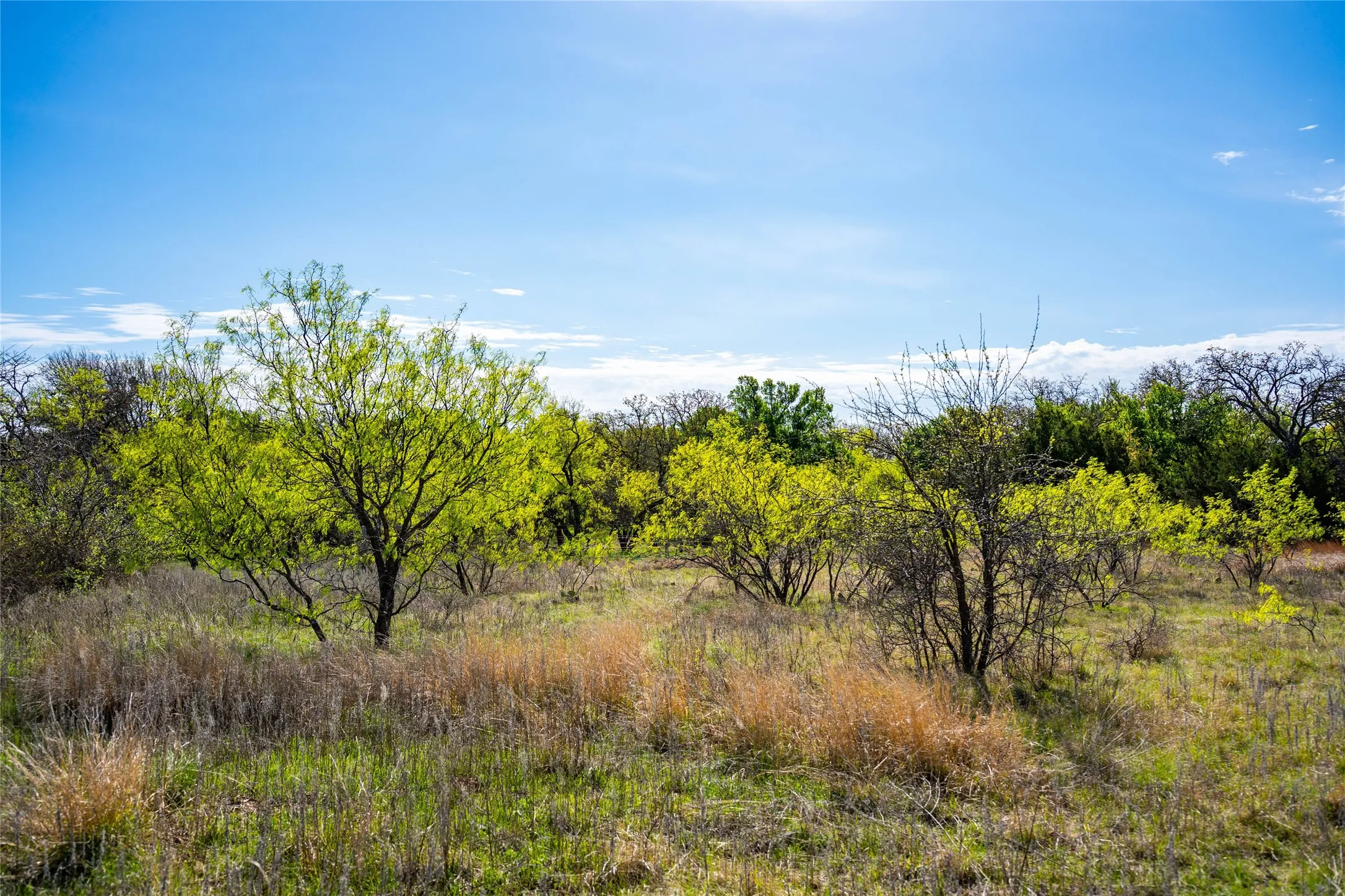 Improved Land For Sale in Eastland County , 231 Georgia Pass, Desdemona, Texas 76445, 0, 0, Garage spaces, 0 Sqft, built in 2024, mls#21224086, Real Estate Agent in Desdemona, Homes For Sale in Eastland county, Homes For Sale in Desdemona, Realtor in Desdemona Texas, Real Estate Brokerage Independent Realty Texas, Luminita Cordes Realtor