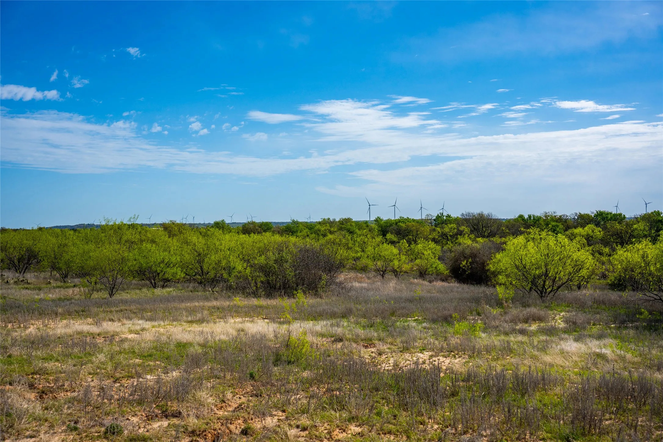 Improved Land For Sale in Eastland County , 231 Georgia Pass, Desdemona, Texas 76445, 0, 0, Garage spaces, 0 Sqft, built in 2024, mls#21224086, Real Estate Agent in Desdemona, Homes For Sale in Eastland county, Homes For Sale in Desdemona, Realtor in Desdemona Texas, Real Estate Brokerage Independent Realty Texas, Luminita Cordes Realtor