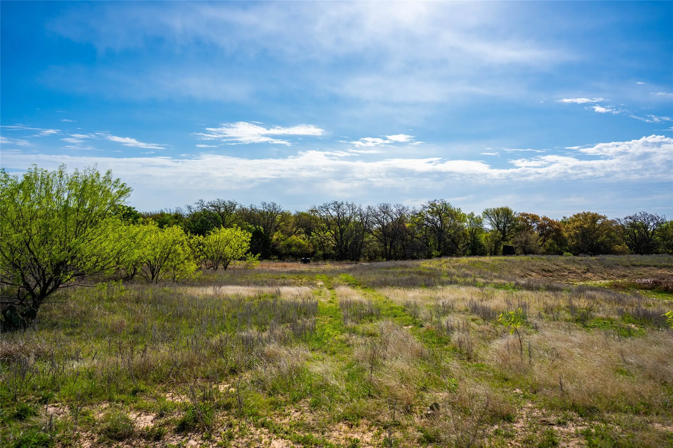Improved Land For Sale in Eastland County , 231 Georgia Pass, Desdemona, Texas 76445, 0, 0, Garage spaces, 0 Sqft, built in 2024, mls#21224086, Real Estate Agent in Desdemona, Homes For Sale in Eastland county, Homes For Sale in Desdemona, Realtor in Desdemona Texas, Real Estate Brokerage Independent Realty Texas, Luminita Cordes Realtor