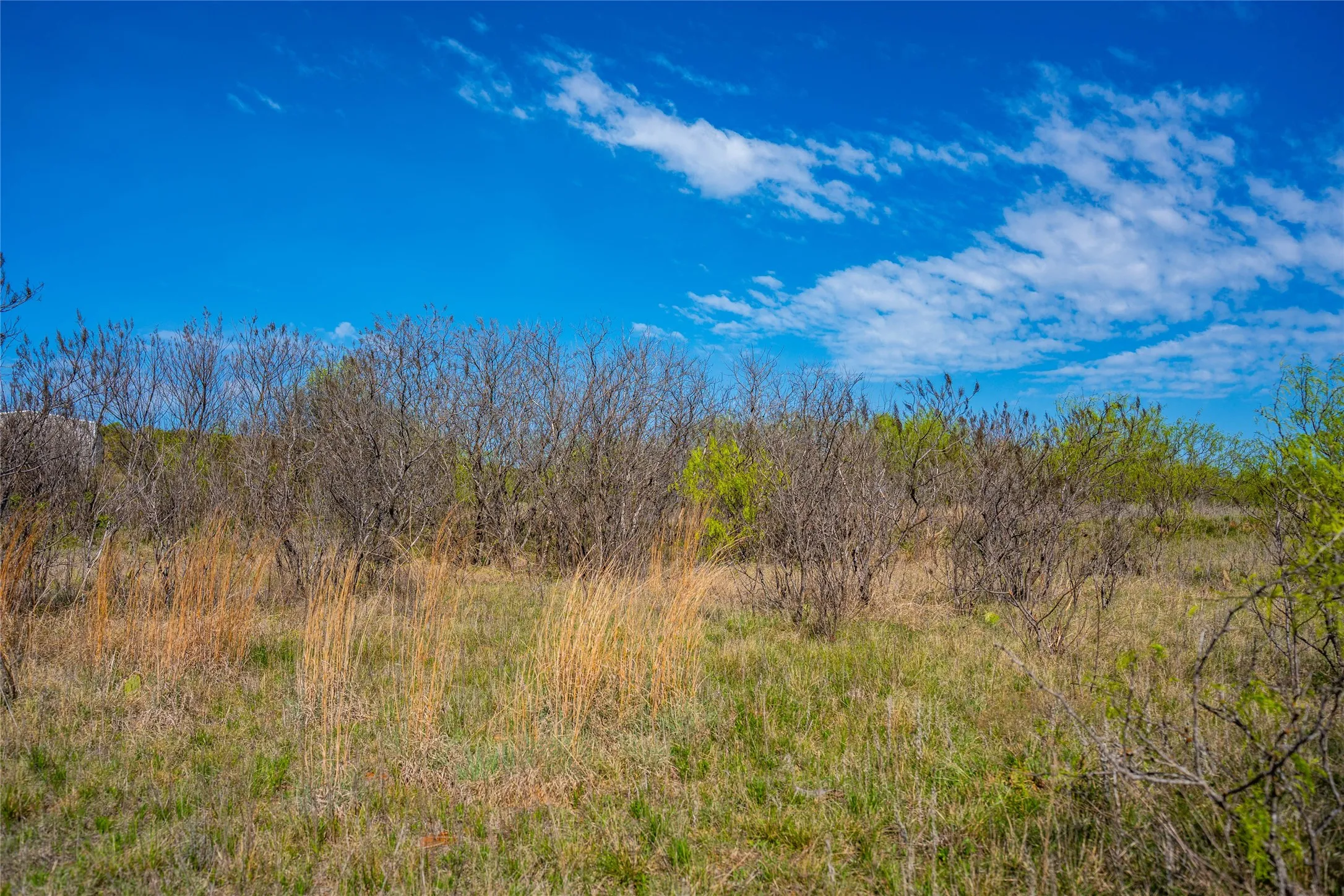 Improved Land For Sale in Eastland County , 231 Georgia Pass, Desdemona, Texas 76445, 0, 0, Garage spaces, 0 Sqft, built in 2024, mls#21224086, Real Estate Agent in Desdemona, Homes For Sale in Eastland county, Homes For Sale in Desdemona, Realtor in Desdemona Texas, Real Estate Brokerage Independent Realty Texas, Luminita Cordes Realtor