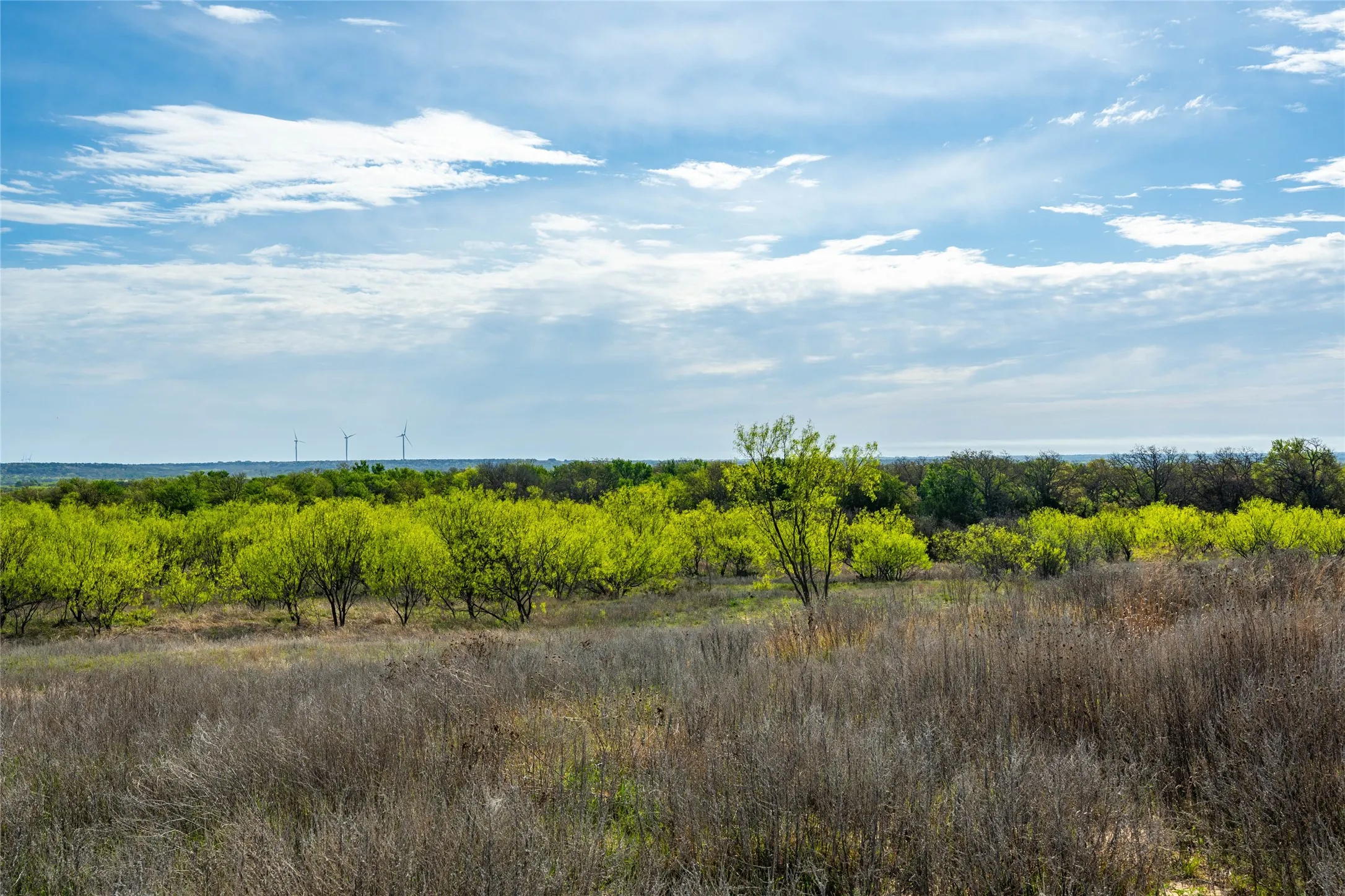 Improved Land For Sale in Eastland County , 231 Georgia Pass, Desdemona, Texas 76445, 0, 0, Garage spaces, 0 Sqft, built in 2024, mls#21224086, Real Estate Agent in Desdemona, Homes For Sale in Eastland county, Homes For Sale in Desdemona, Realtor in Desdemona Texas, Real Estate Brokerage Independent Realty Texas, Luminita Cordes Realtor