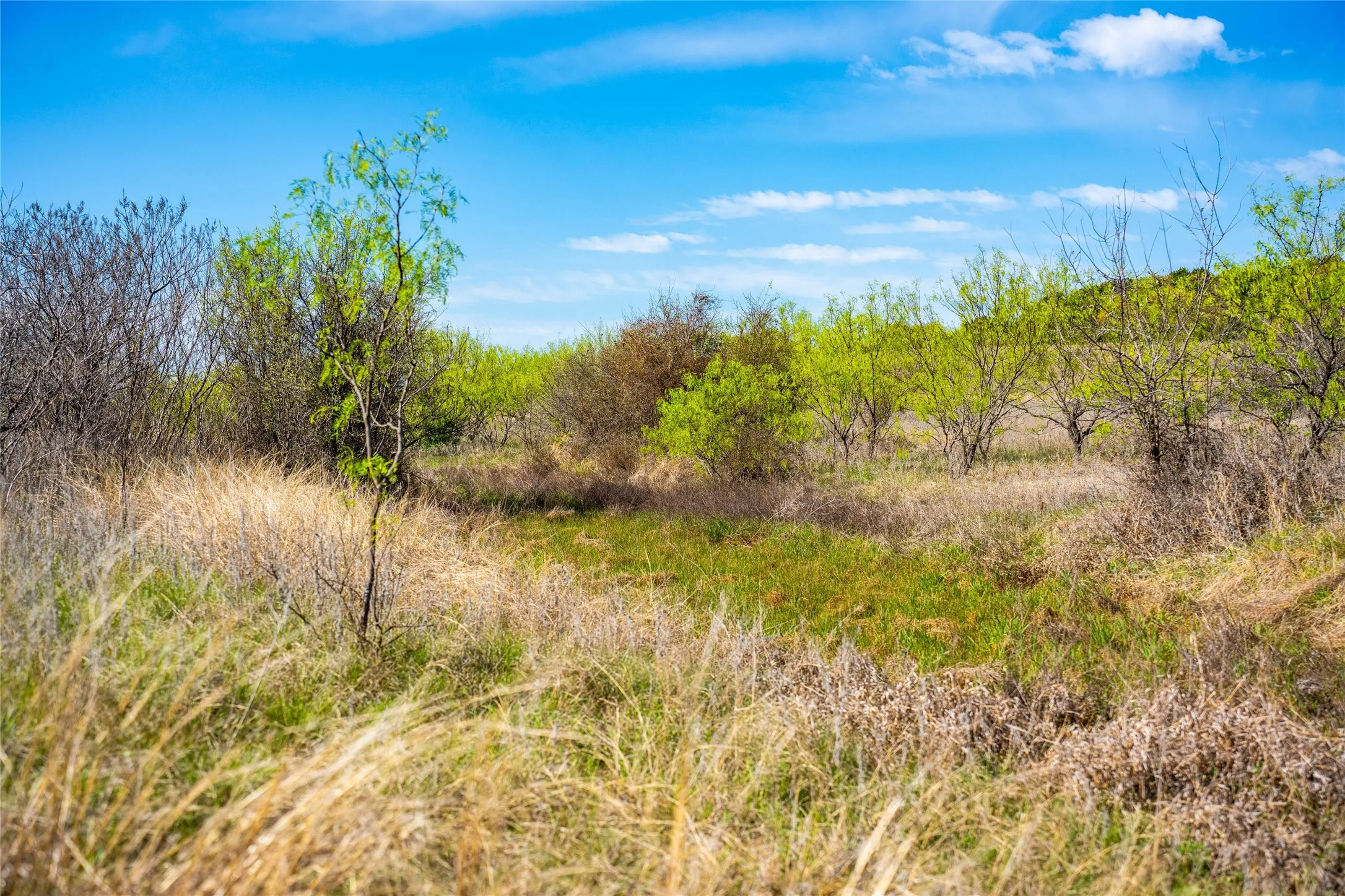 Improved Land For Sale in Eastland County , 231 Georgia Pass, Desdemona, Texas 76445, 0, 0, Garage spaces, 0 Sqft, built in 2024, mls#21224086, Real Estate Agent in Desdemona, Homes For Sale in Eastland county, Homes For Sale in Desdemona, Realtor in Desdemona Texas, Real Estate Brokerage Independent Realty Texas, Luminita Cordes Realtor