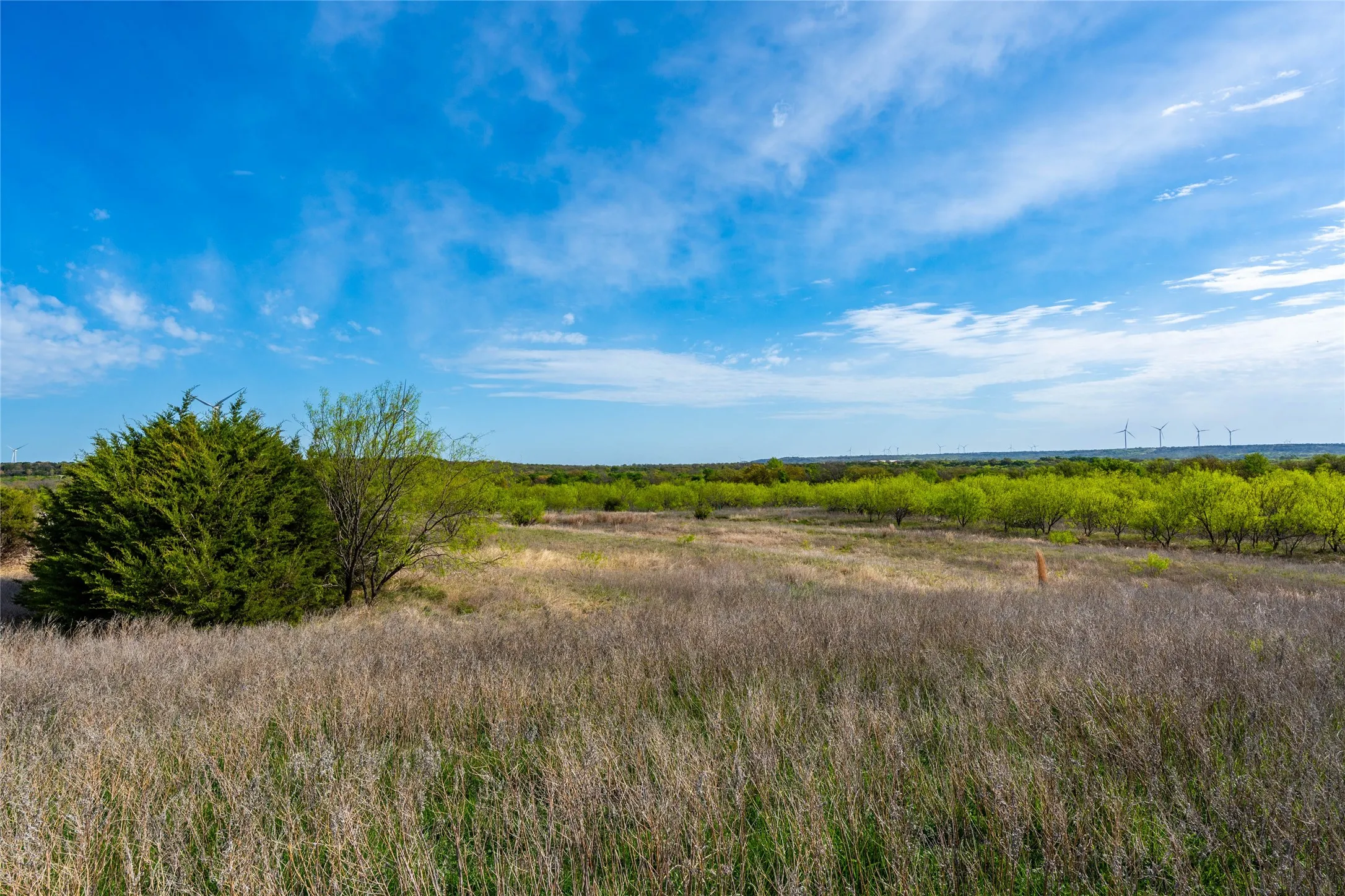Improved Land For Sale in Eastland County , 231 Georgia Pass, Desdemona, Texas 76445, 0, 0, Garage spaces, 0 Sqft, built in 2024, mls#21224086, Real Estate Agent in Desdemona, Homes For Sale in Eastland county, Homes For Sale in Desdemona, Realtor in Desdemona Texas, Real Estate Brokerage Independent Realty Texas, Luminita Cordes Realtor