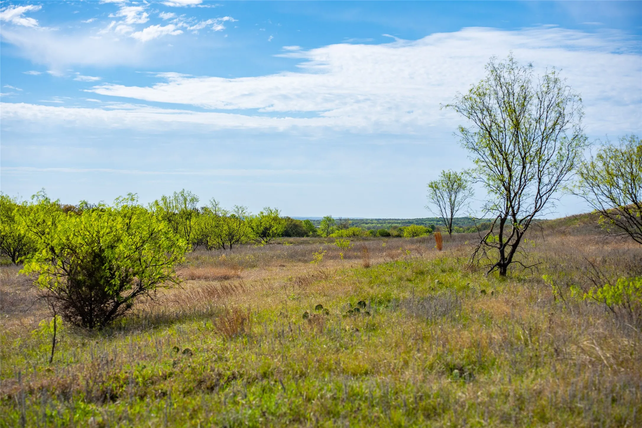 Improved Land For Sale in Eastland County , 231 Georgia Pass, Desdemona, Texas 76445, 0, 0, Garage spaces, 0 Sqft, built in 2024, mls#21224086, Real Estate Agent in Desdemona, Homes For Sale in Eastland county, Homes For Sale in Desdemona, Realtor in Desdemona Texas, Real Estate Brokerage Independent Realty Texas, Luminita Cordes Realtor