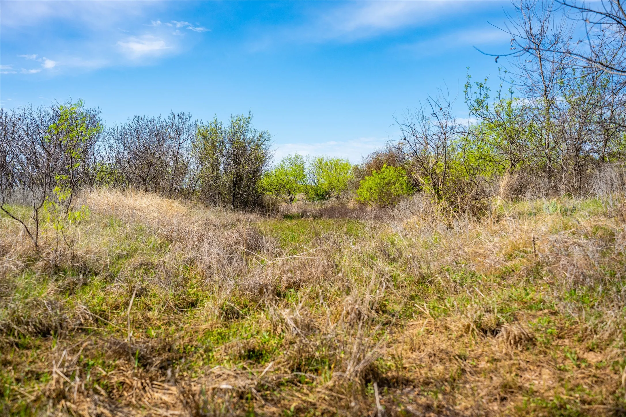 Improved Land For Sale in Eastland County , 231 Georgia Pass, Desdemona, Texas 76445, 0, 0, Garage spaces, 0 Sqft, built in 2024, mls#21224086, Real Estate Agent in Desdemona, Homes For Sale in Eastland county, Homes For Sale in Desdemona, Realtor in Desdemona Texas, Real Estate Brokerage Independent Realty Texas, Luminita Cordes Realtor