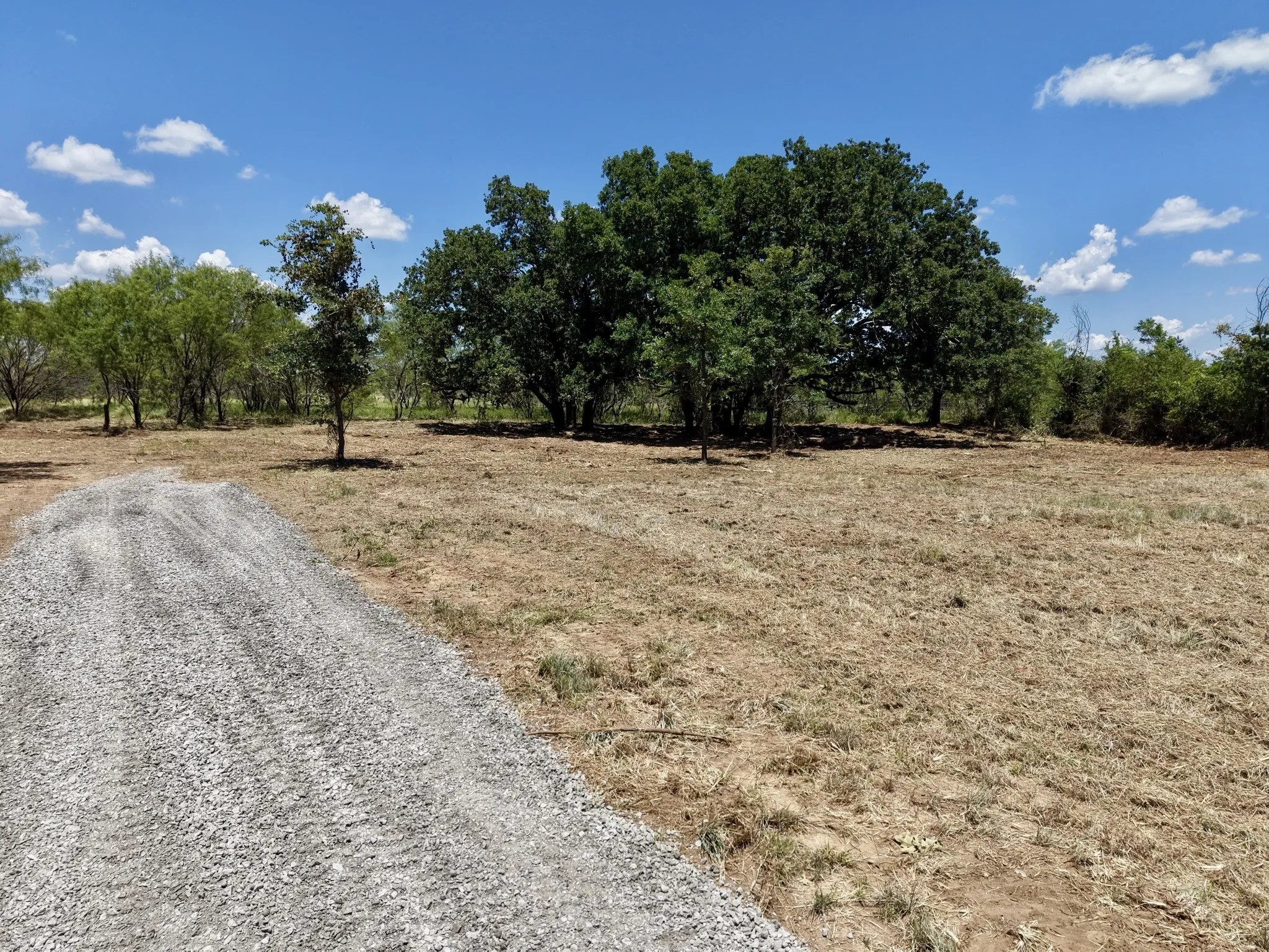 Unimproved Land For Sale in Eastland County , TBD #7 Co Rd 340, Ranger, Texas 76470, 0, 0, Garage spaces, 0 Sqft, built in 0, mls#21224572, Real Estate Agent in Ranger, Homes For Sale in Eastland county, Homes For Sale in Ranger, Realtor in Ranger Texas, Real Estate Brokerage Independent Realty Texas, Luminita Cordes Realtor