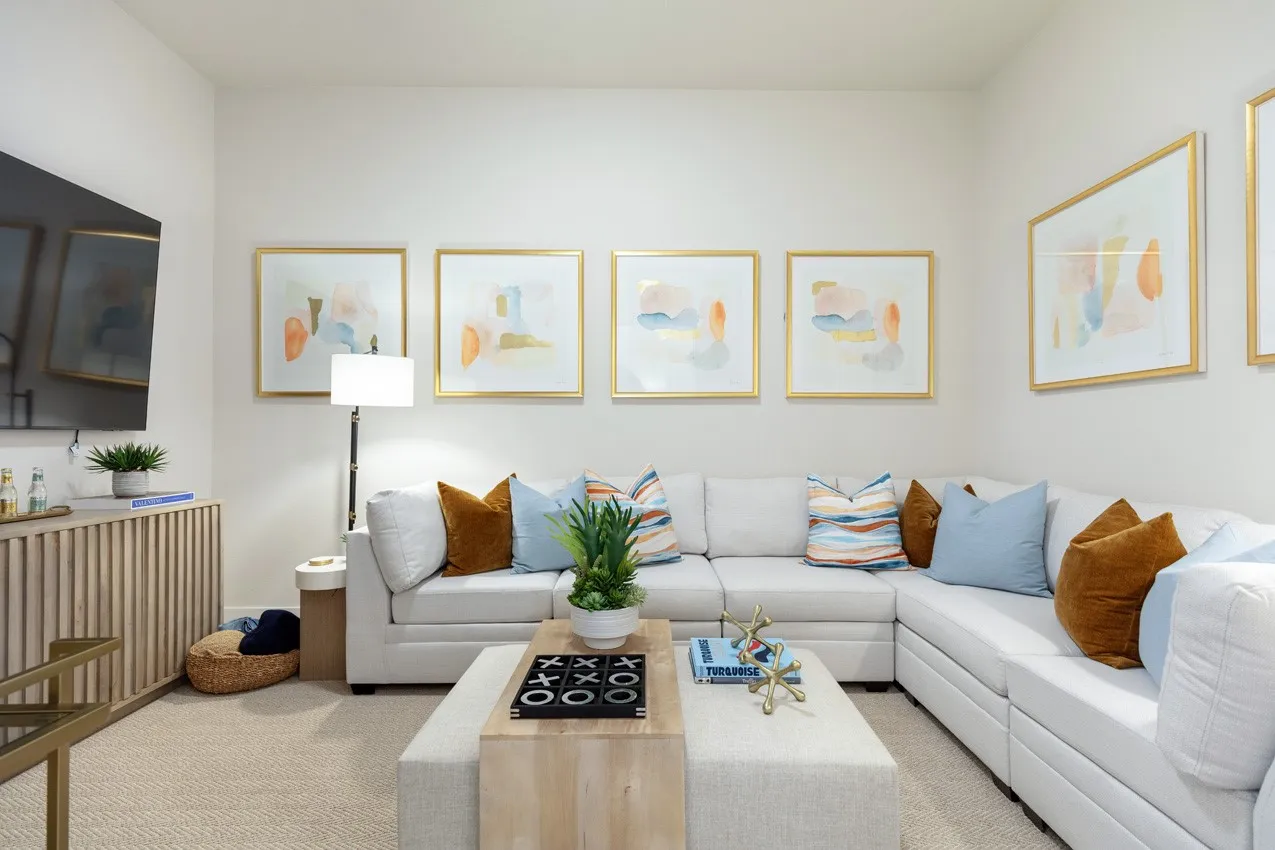 Entertainment Room