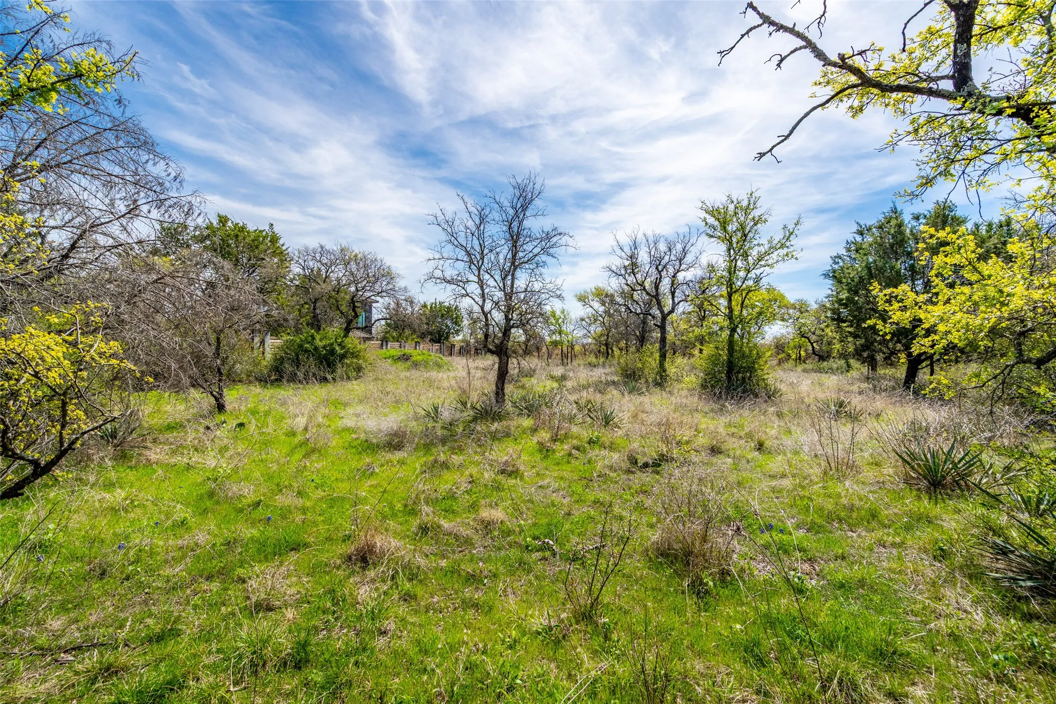 View of undeveloped land