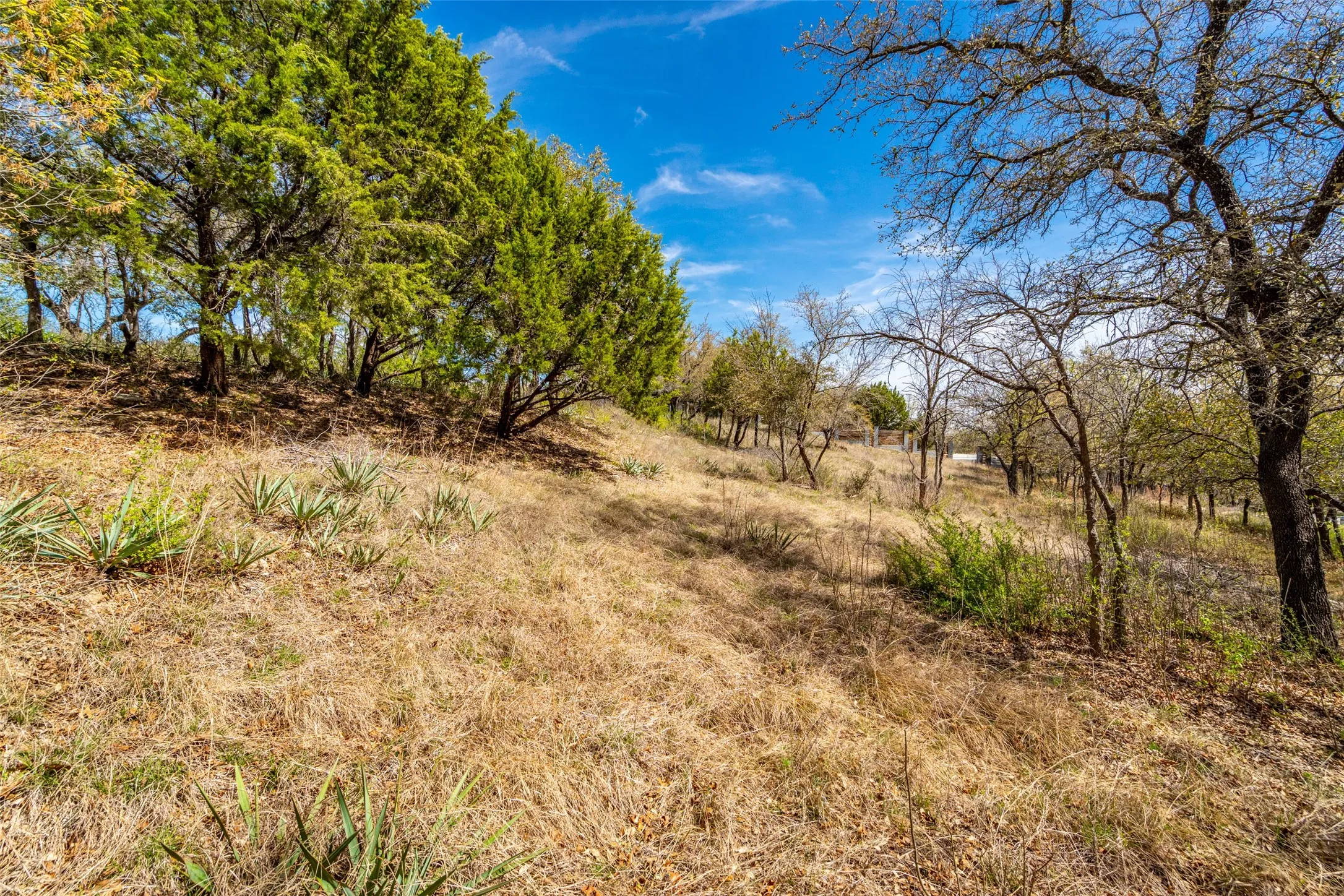 View of undeveloped land