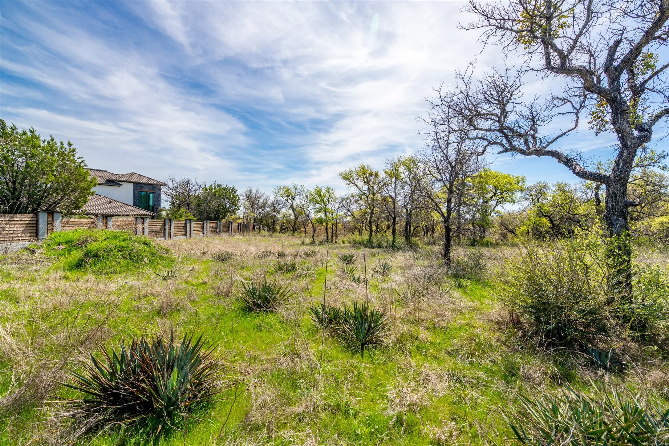 View of undeveloped land