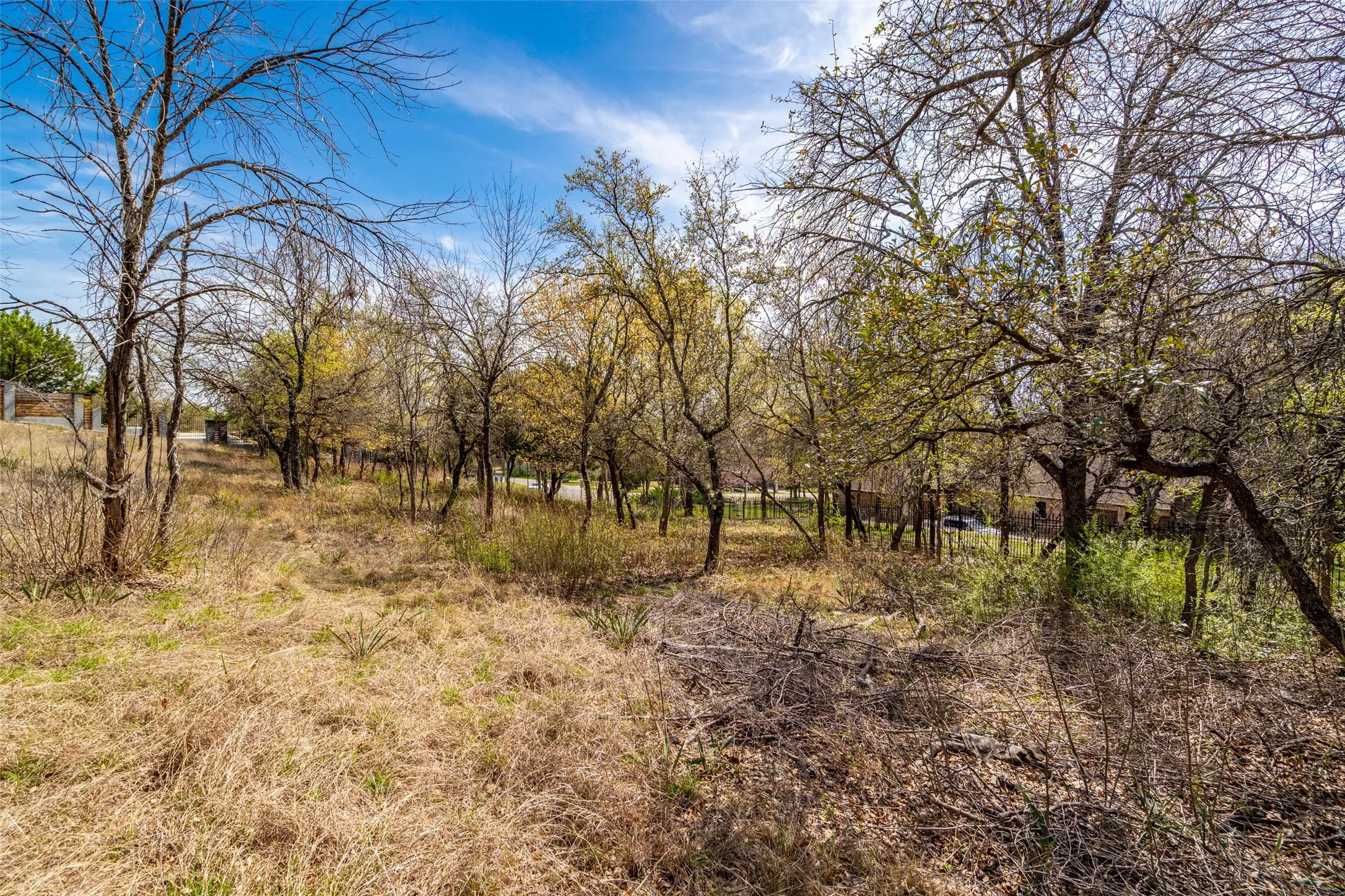 View of local wilderness