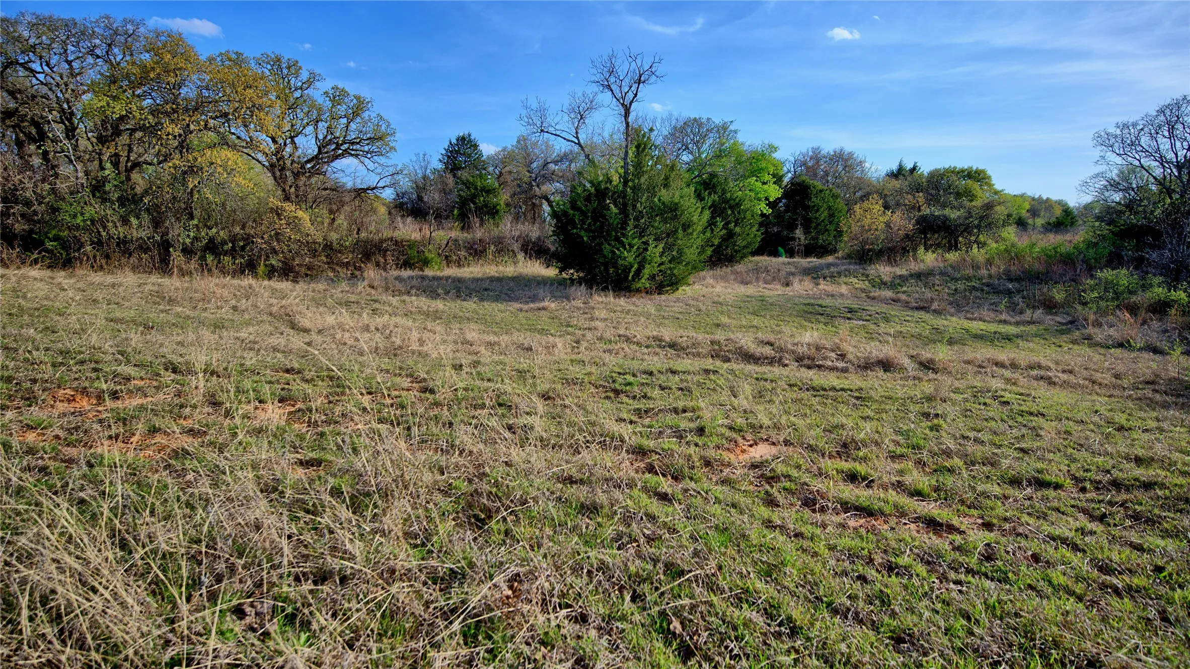 Ranch For Sale in Montague County , 00 Dixie School Road, Nocona, Texas 76255, 0, 0, Garage spaces, 0 Sqft, built in 0, mls#21224792, Real Estate Agent in Nocona, Homes For Sale in Montague county, Homes For Sale in Nocona, Realtor in Nocona Texas, Real Estate Brokerage Independent Realty Texas, Luminita Cordes Realtor