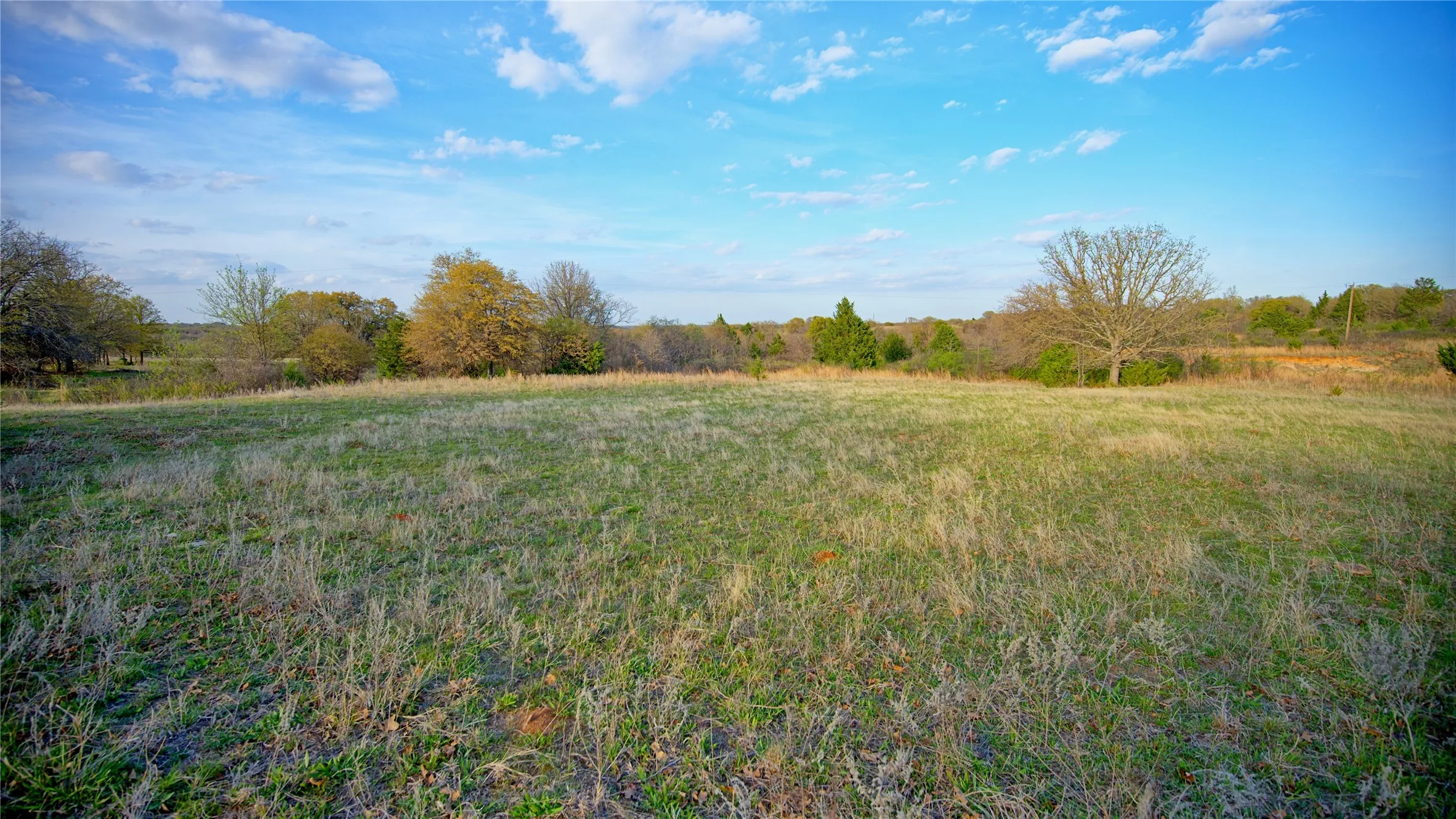 Ranch For Sale in Montague County , 00 Dixie School Road, Nocona, Texas 76255, 0, 0, Garage spaces, 0 Sqft, built in 0, mls#21224792, Real Estate Agent in Nocona, Homes For Sale in Montague county, Homes For Sale in Nocona, Realtor in Nocona Texas, Real Estate Brokerage Independent Realty Texas, Luminita Cordes Realtor