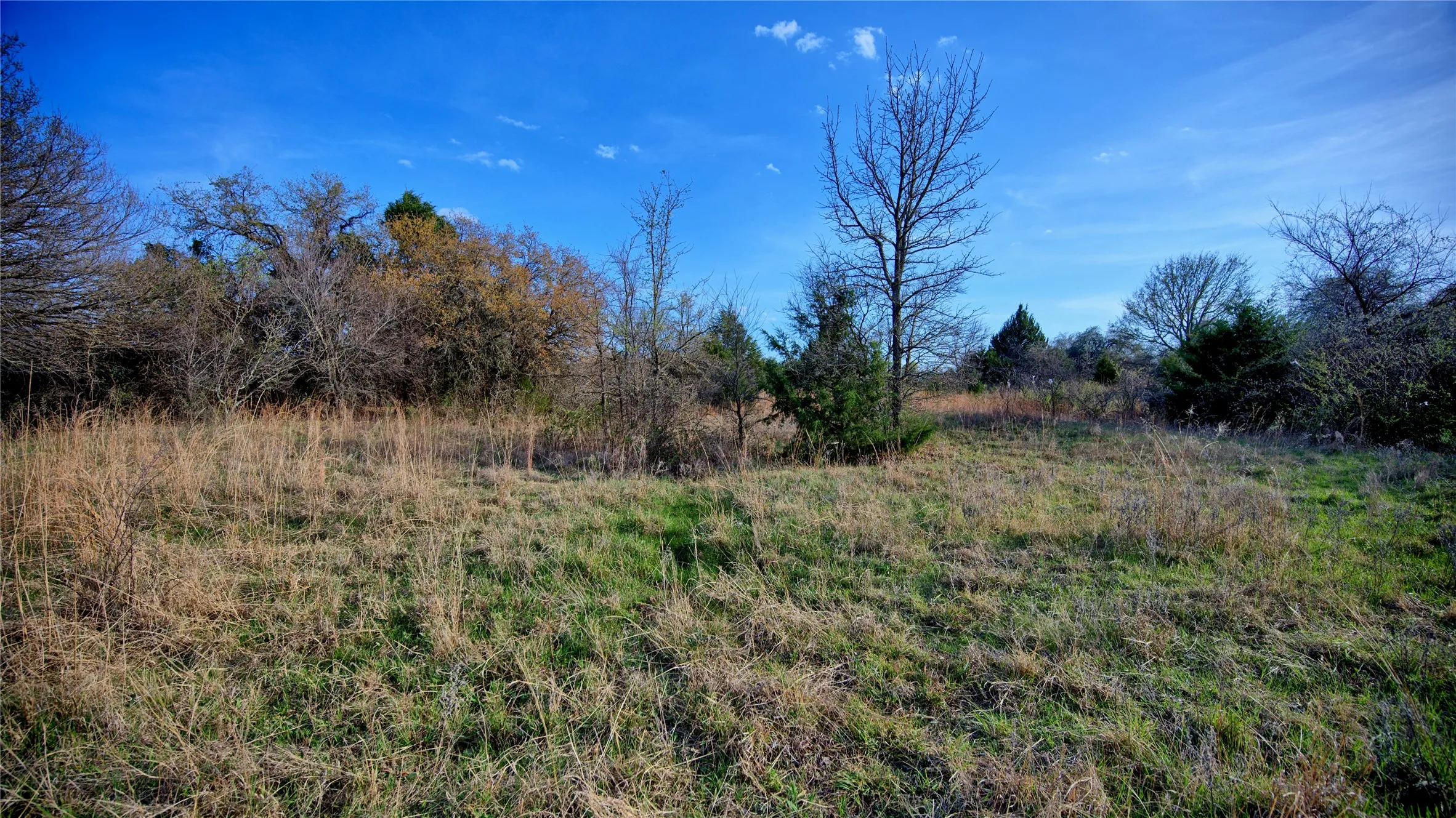 Ranch For Sale in Montague County , 00 Dixie School Road, Nocona, Texas 76255, 0, 0, Garage spaces, 0 Sqft, built in 0, mls#21224792, Real Estate Agent in Nocona, Homes For Sale in Montague county, Homes For Sale in Nocona, Realtor in Nocona Texas, Real Estate Brokerage Independent Realty Texas, Luminita Cordes Realtor