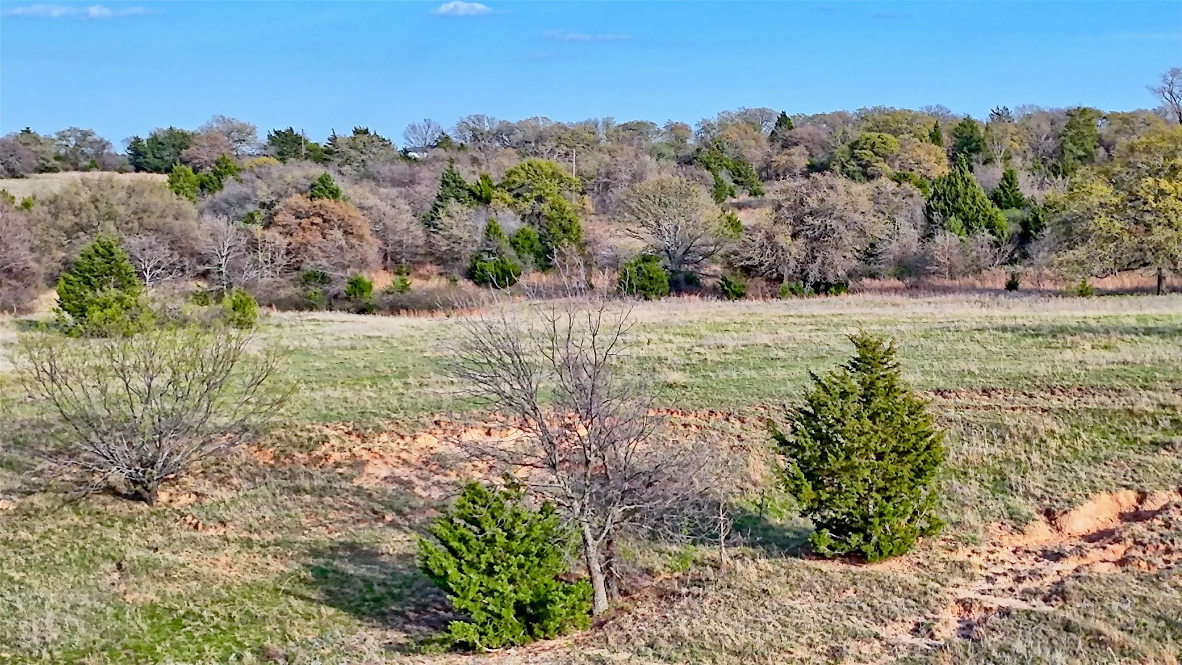 Ranch For Sale in Montague County , 00 Dixie School Road, Nocona, Texas 76255, 0, 0, Garage spaces, 0 Sqft, built in 0, mls#21224792, Real Estate Agent in Nocona, Homes For Sale in Montague county, Homes For Sale in Nocona, Realtor in Nocona Texas, Real Estate Brokerage Independent Realty Texas, Luminita Cordes Realtor