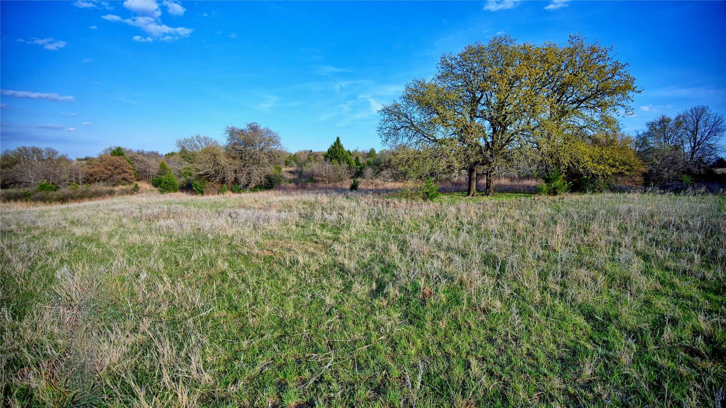 Ranch For Sale in Montague County , 00 Dixie School Road, Nocona, Texas 76255, 0, 0, Garage spaces, 0 Sqft, built in 0, mls#21224792, Real Estate Agent in Nocona, Homes For Sale in Montague county, Homes For Sale in Nocona, Realtor in Nocona Texas, Real Estate Brokerage Independent Realty Texas, Luminita Cordes Realtor