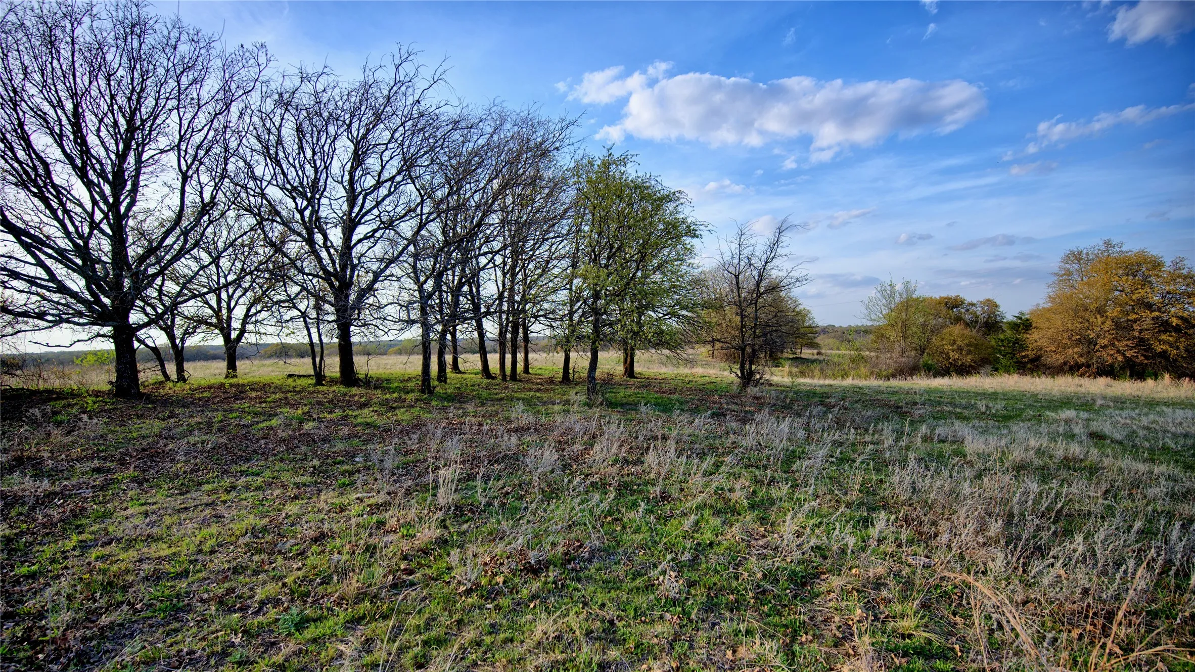 Ranch For Sale in Montague County , 00 Dixie School Road, Nocona, Texas 76255, 0, 0, Garage spaces, 0 Sqft, built in 0, mls#21224792, Real Estate Agent in Nocona, Homes For Sale in Montague county, Homes For Sale in Nocona, Realtor in Nocona Texas, Real Estate Brokerage Independent Realty Texas, Luminita Cordes Realtor