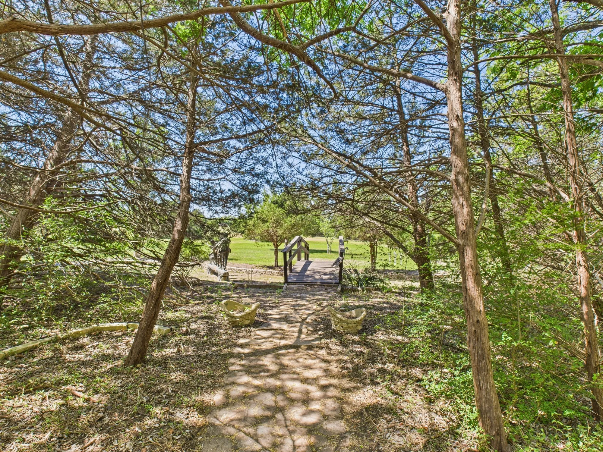 bridge in backyard from open yard to shaded tree area