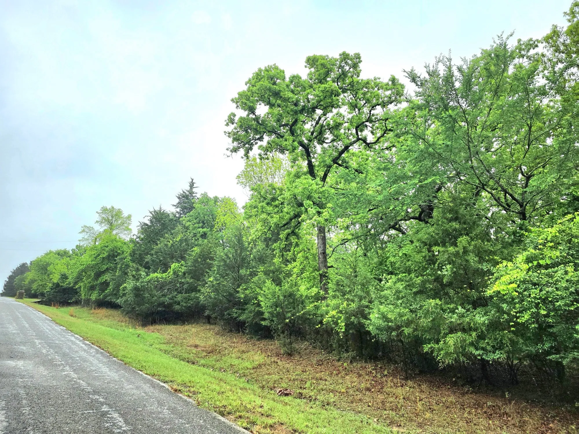 View across Quail Hollow from this property.