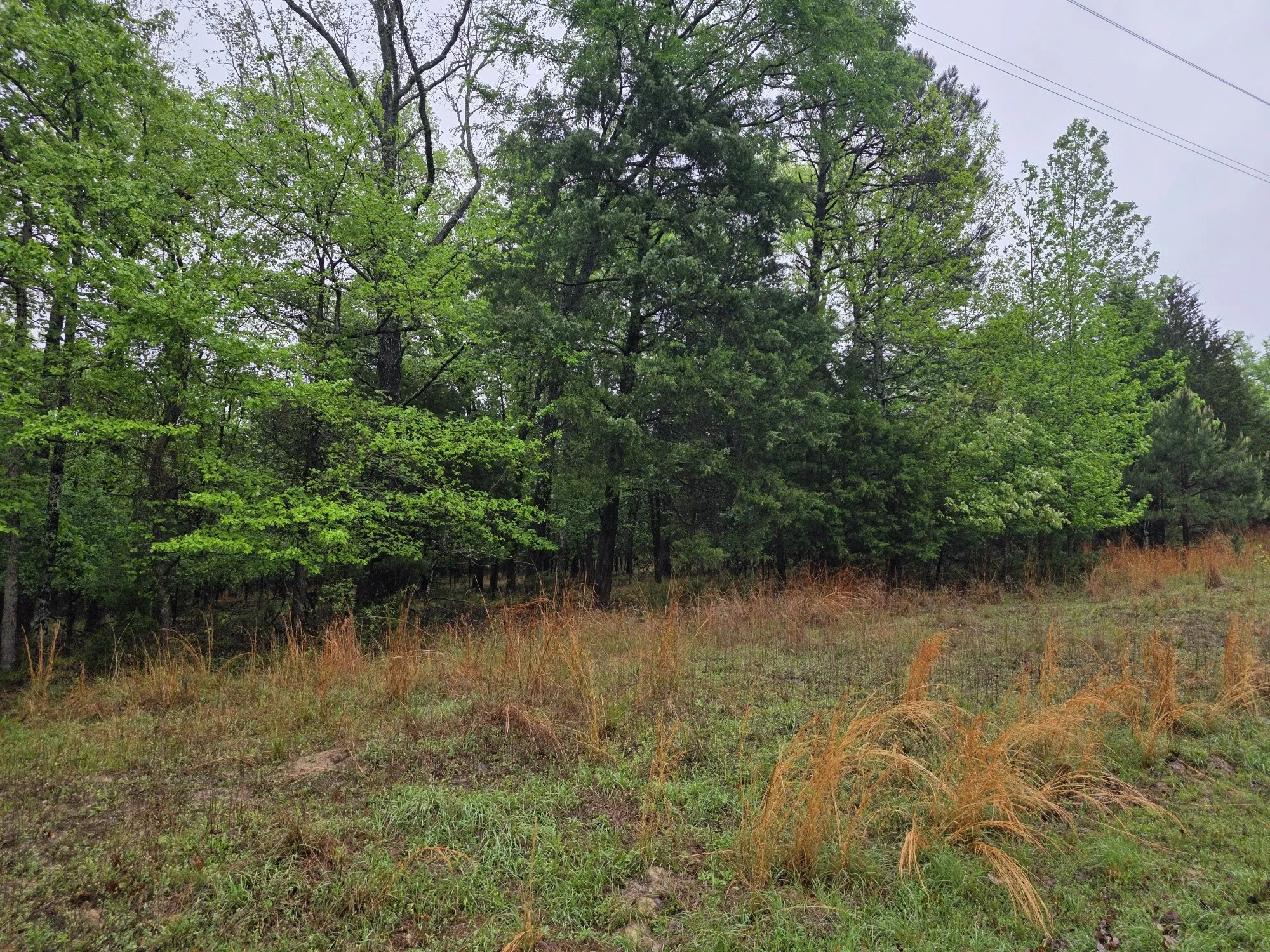 Front of lot.