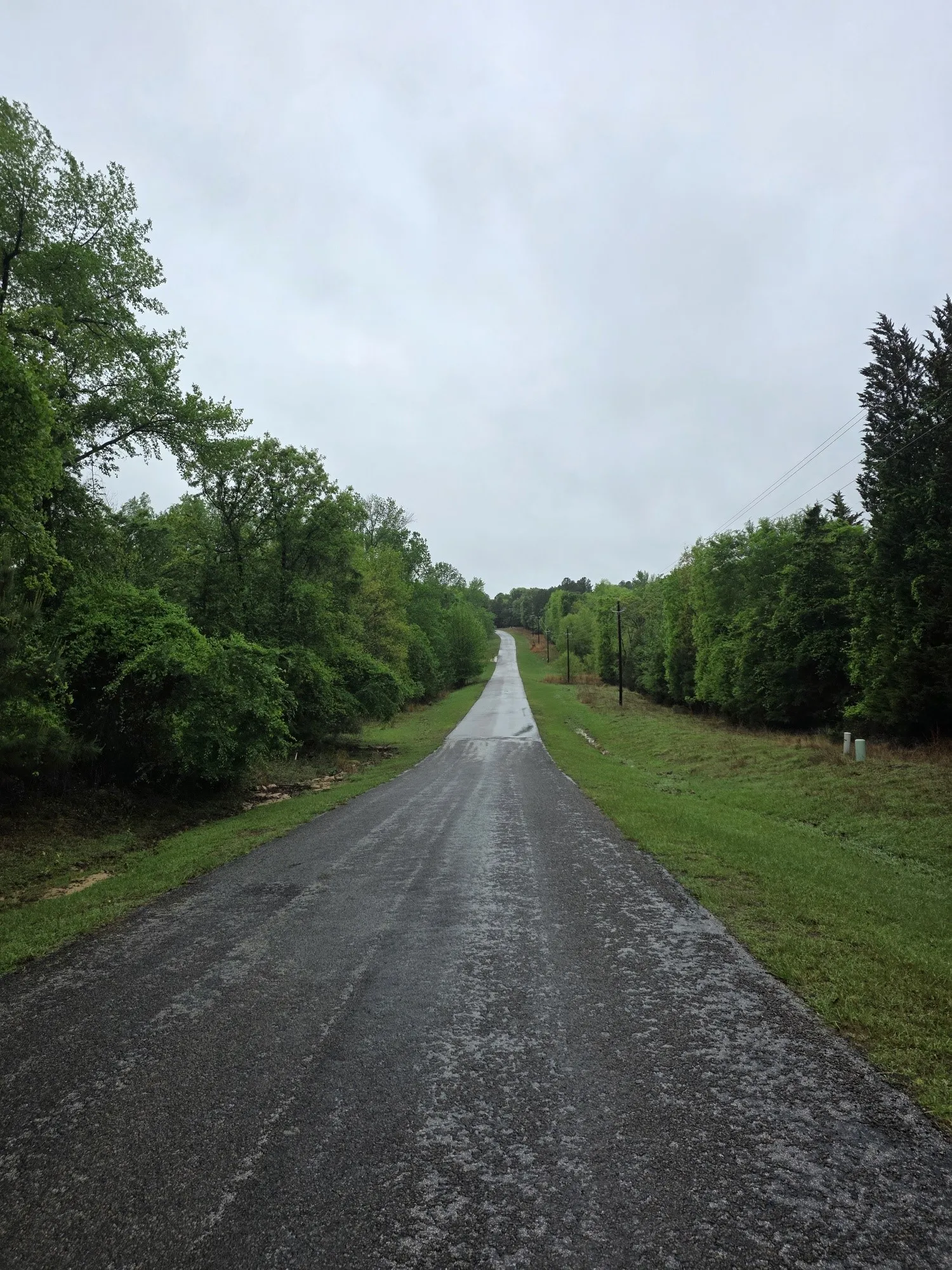 Quail Hollow street view.