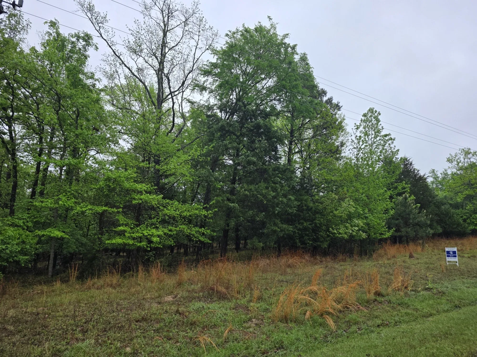 A gorgeous wooded lot awaits you.